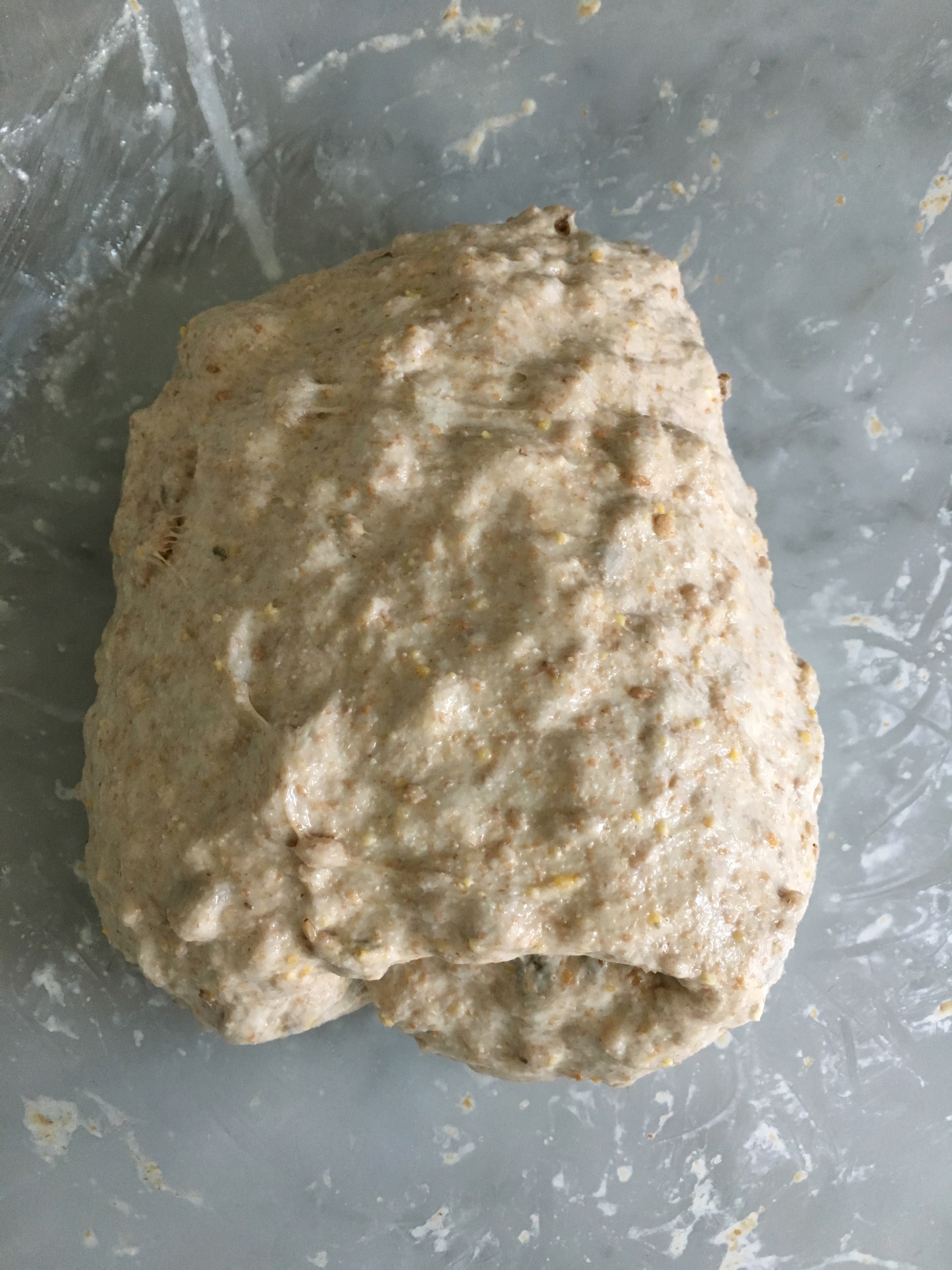 wet dough after stretch and fold