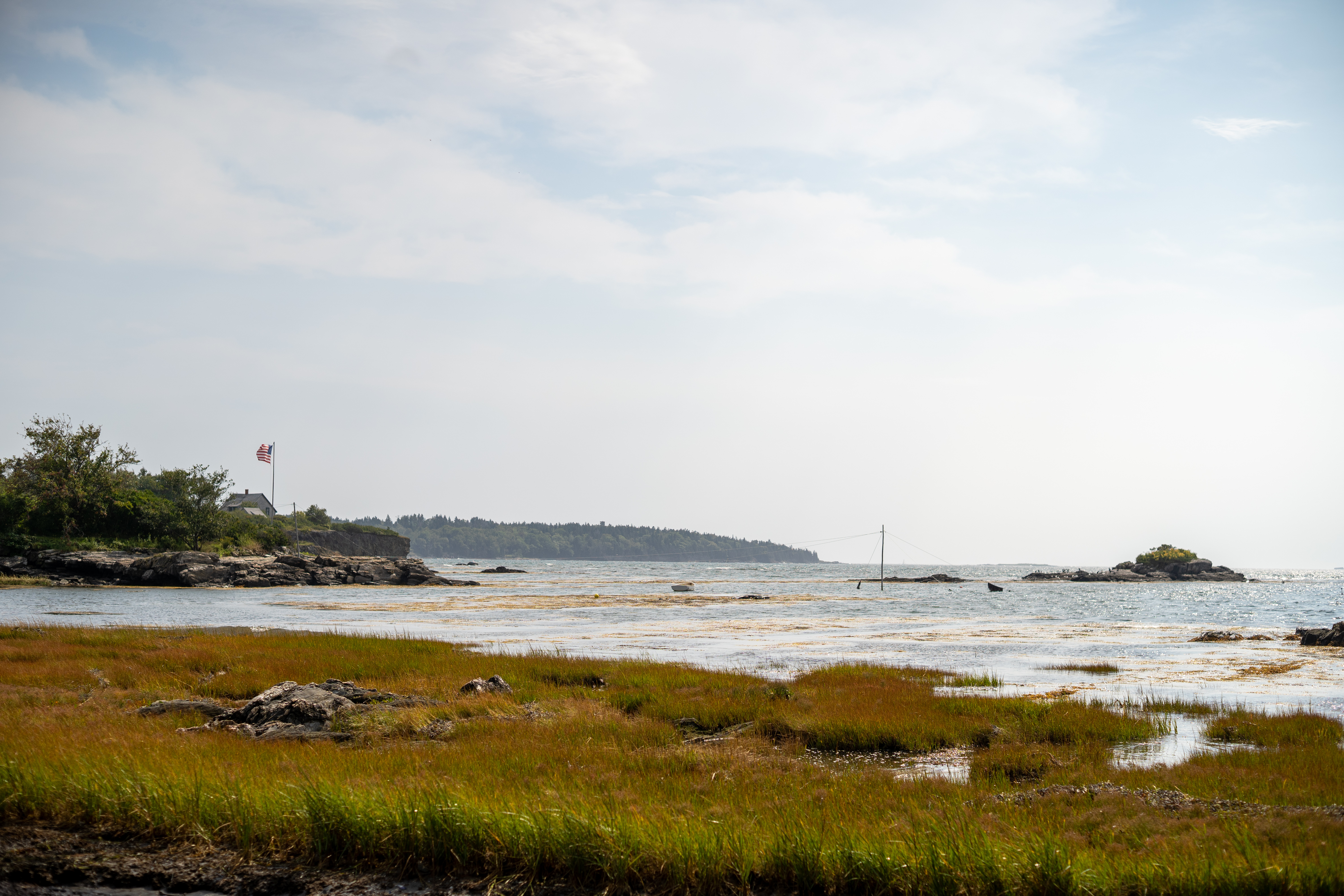marsh, sea and an American flag