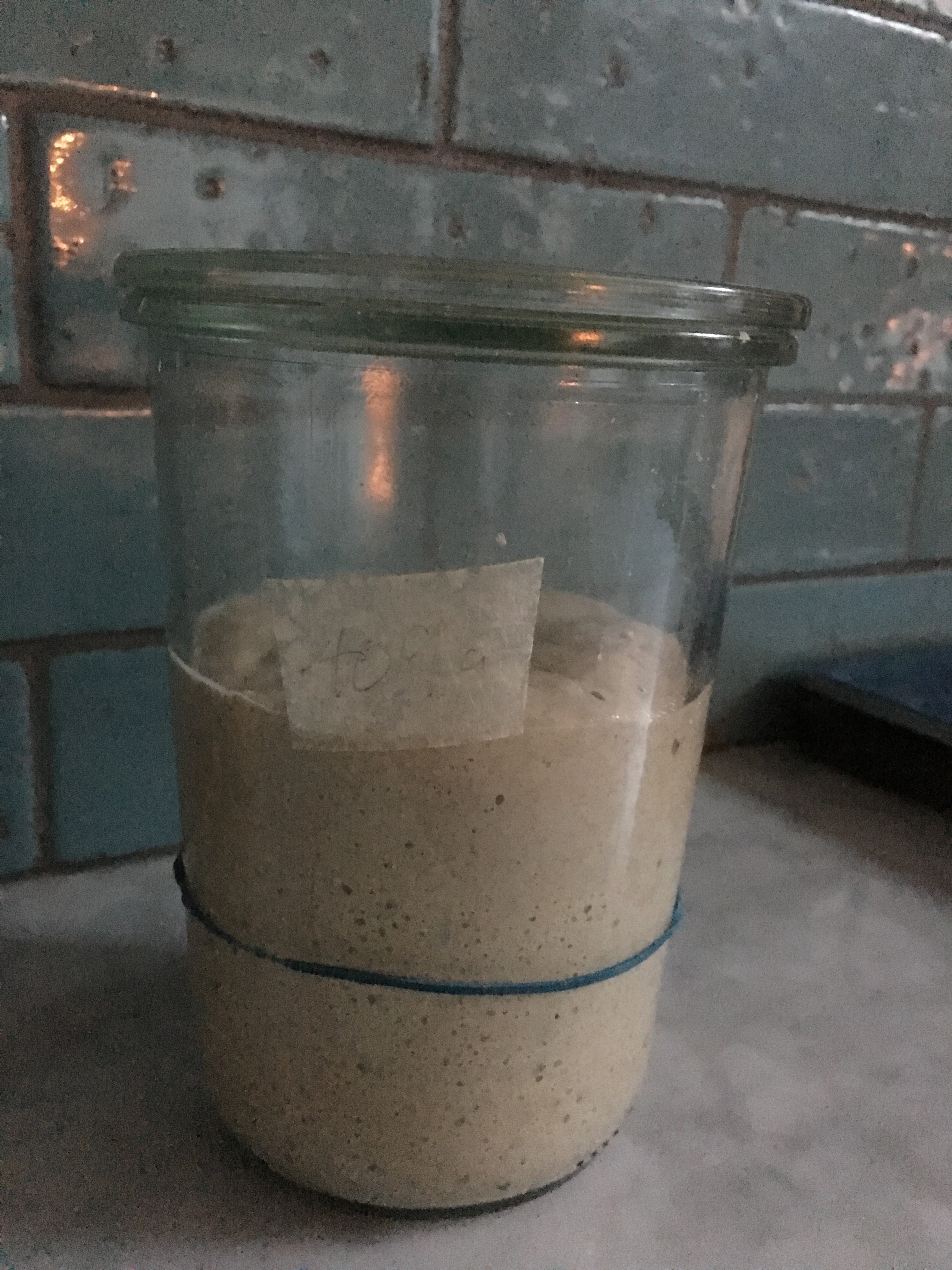 The starter nicknamed Yorick.