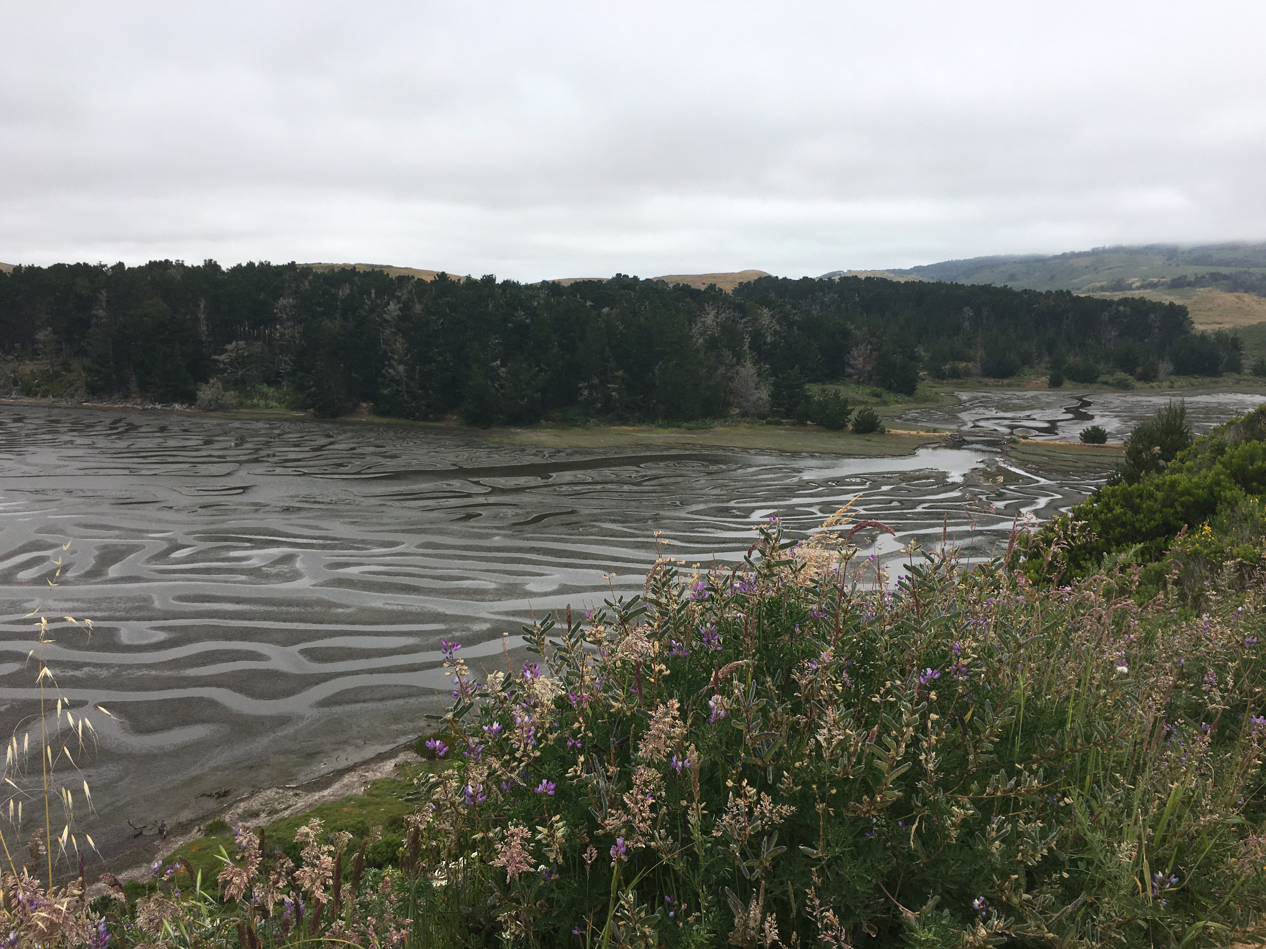 low tide at Drakes Lagood
