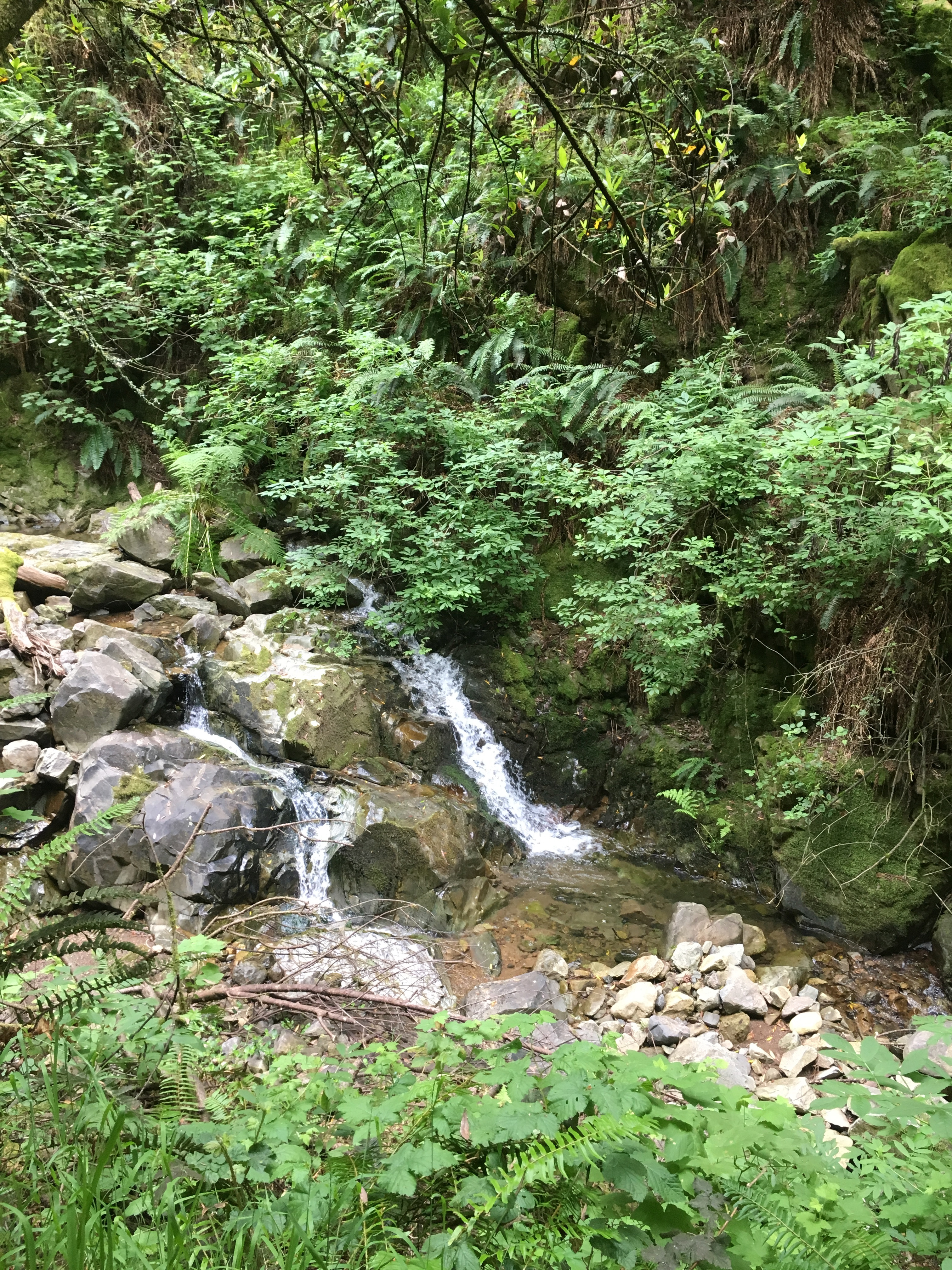 small waterfall in a stream