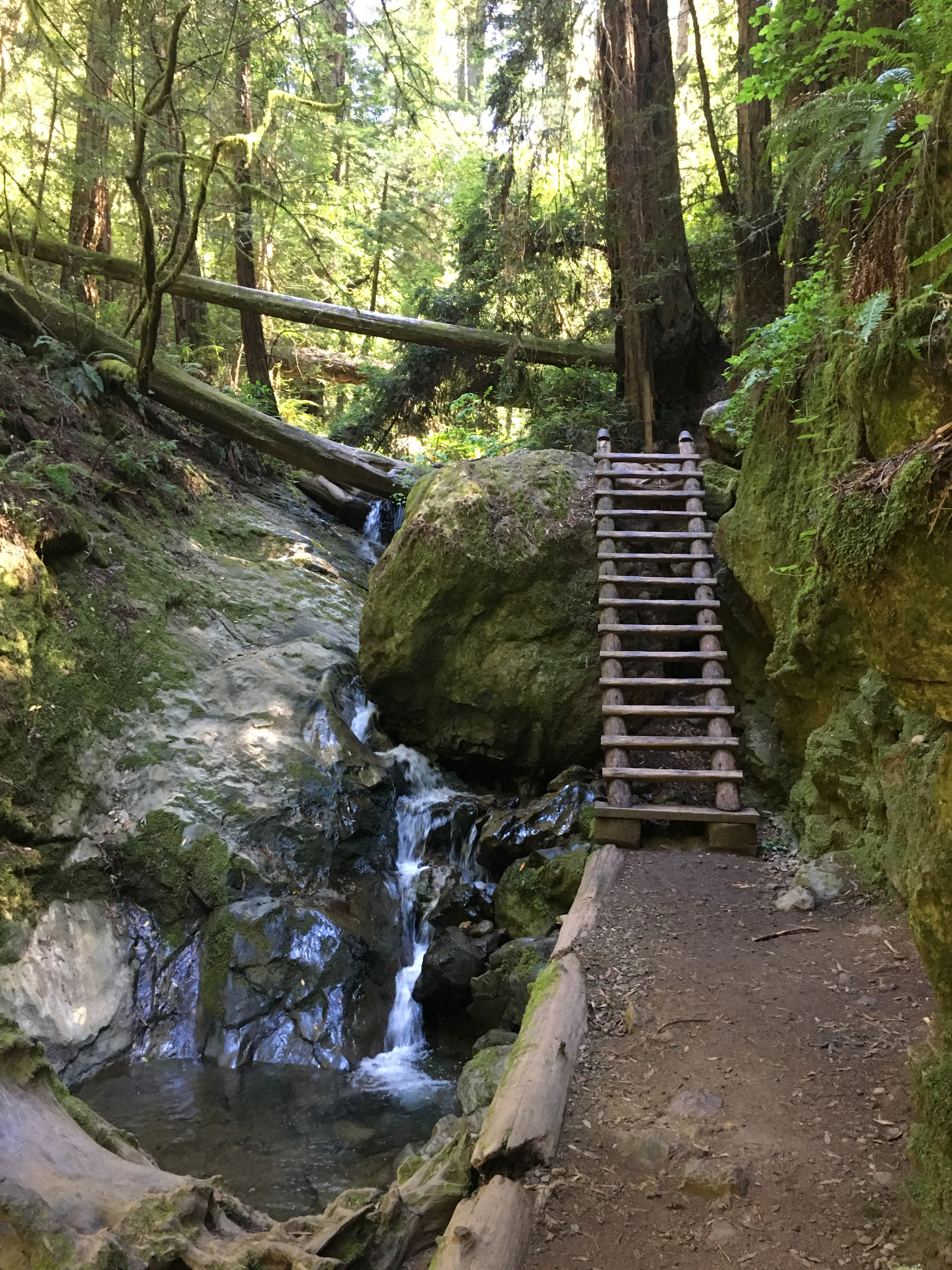 ladder on steep ravine