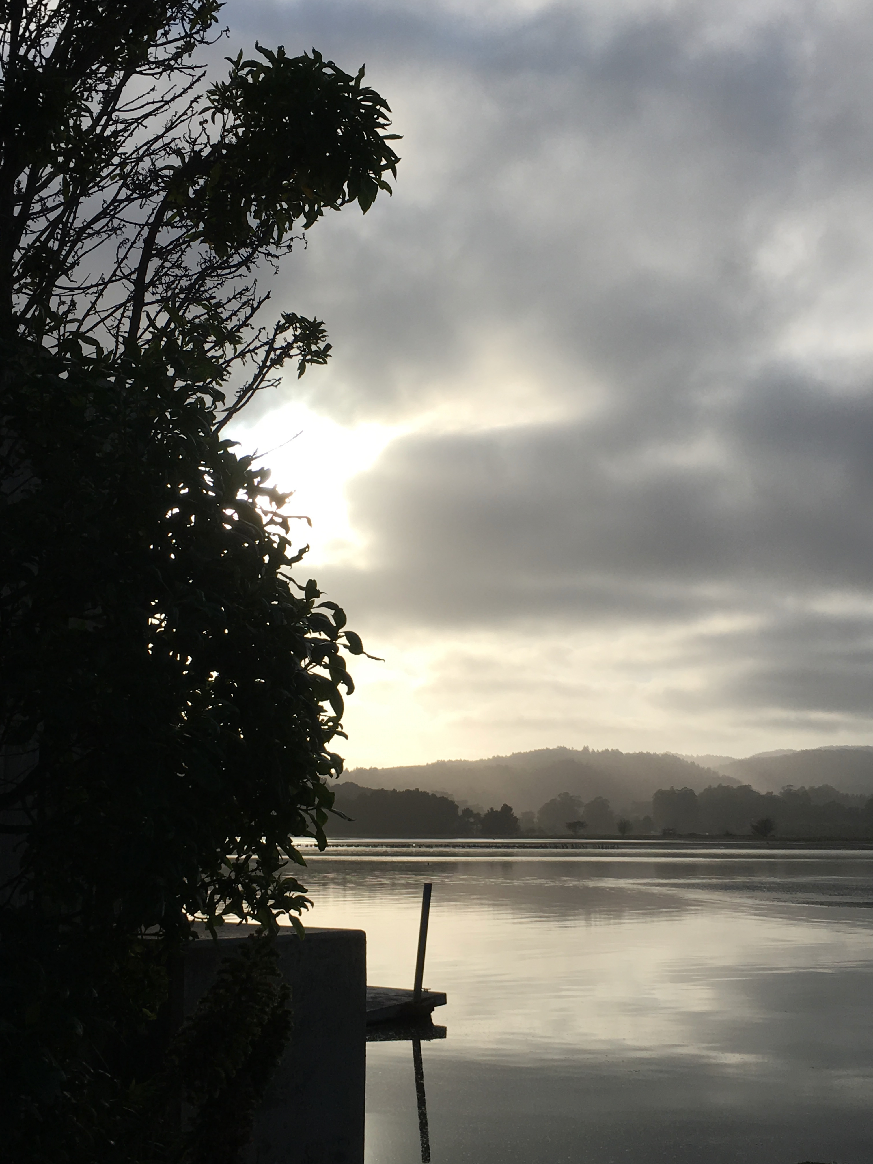 view of Bolinas lagoon