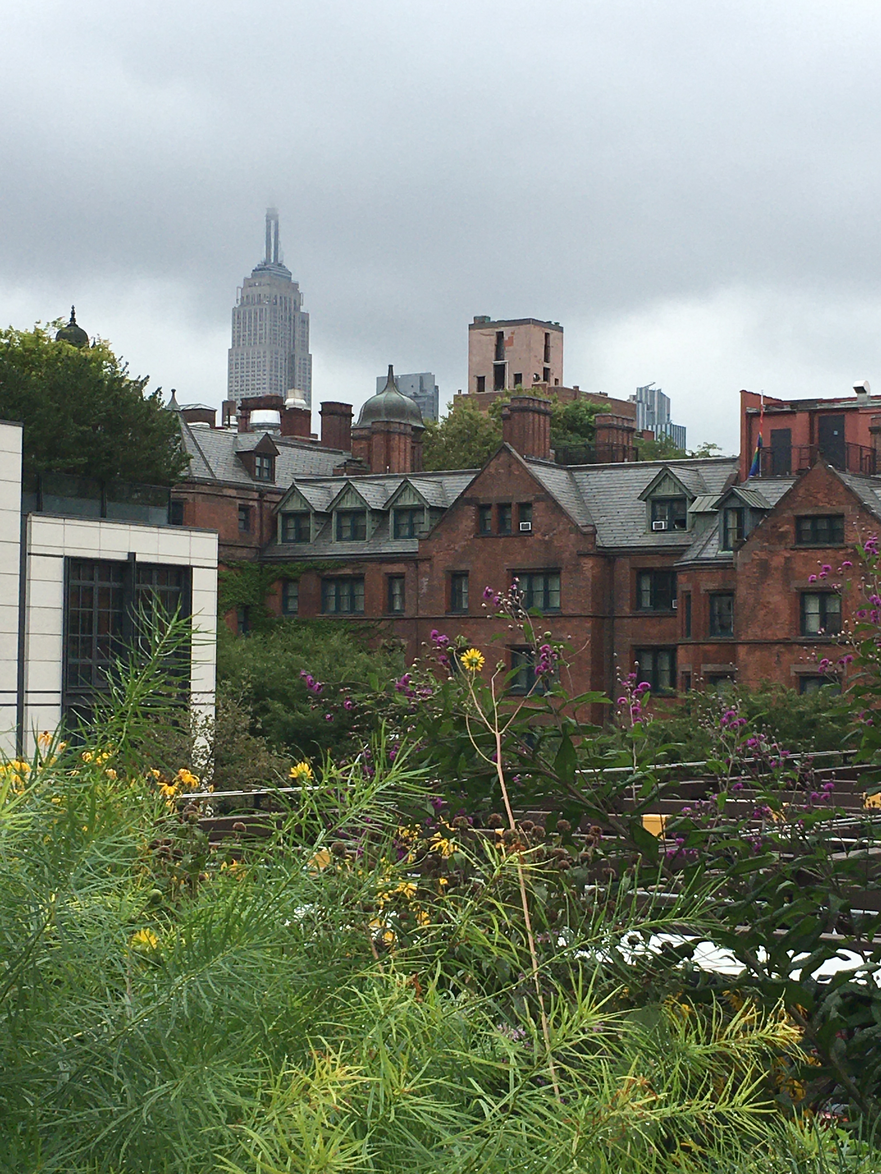 View of the empire state building from the High Line Park with flowers in the foreground