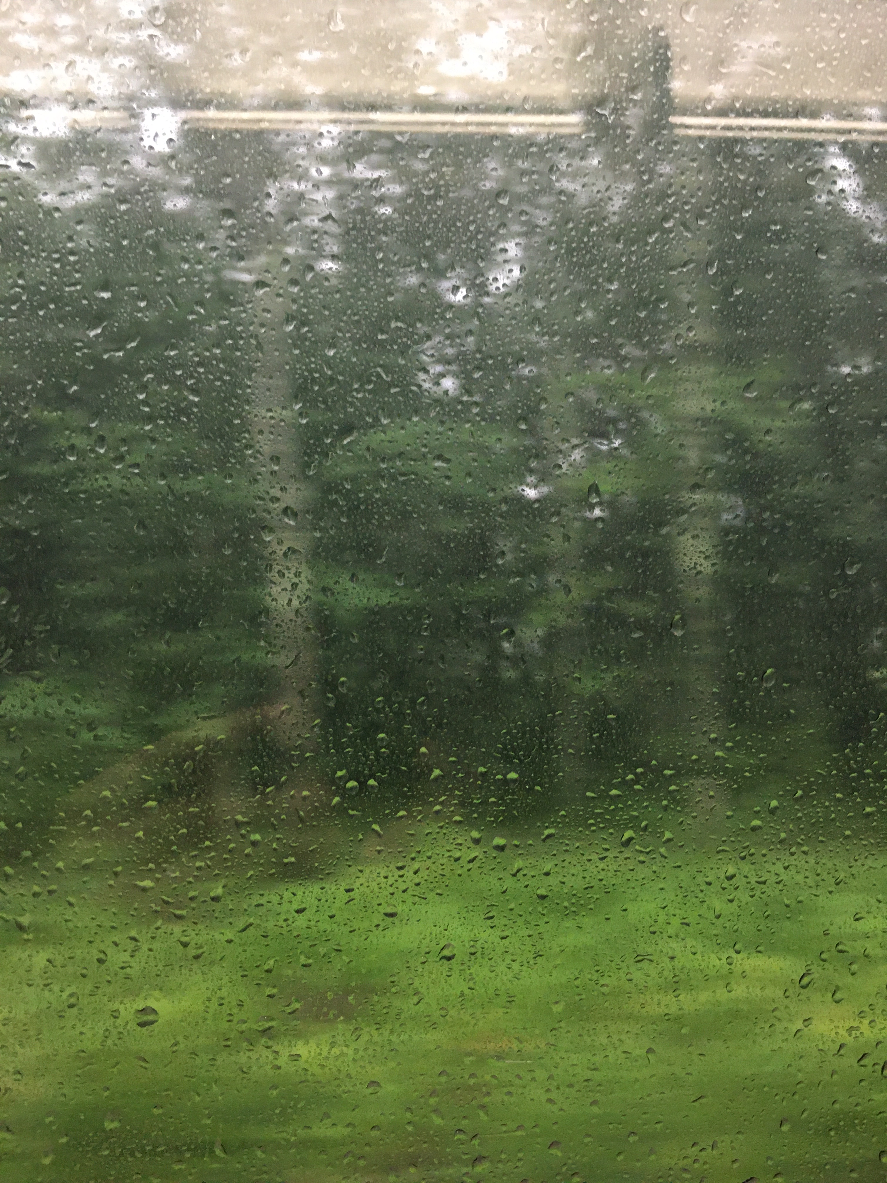 blurry rainy window of green trees from a train