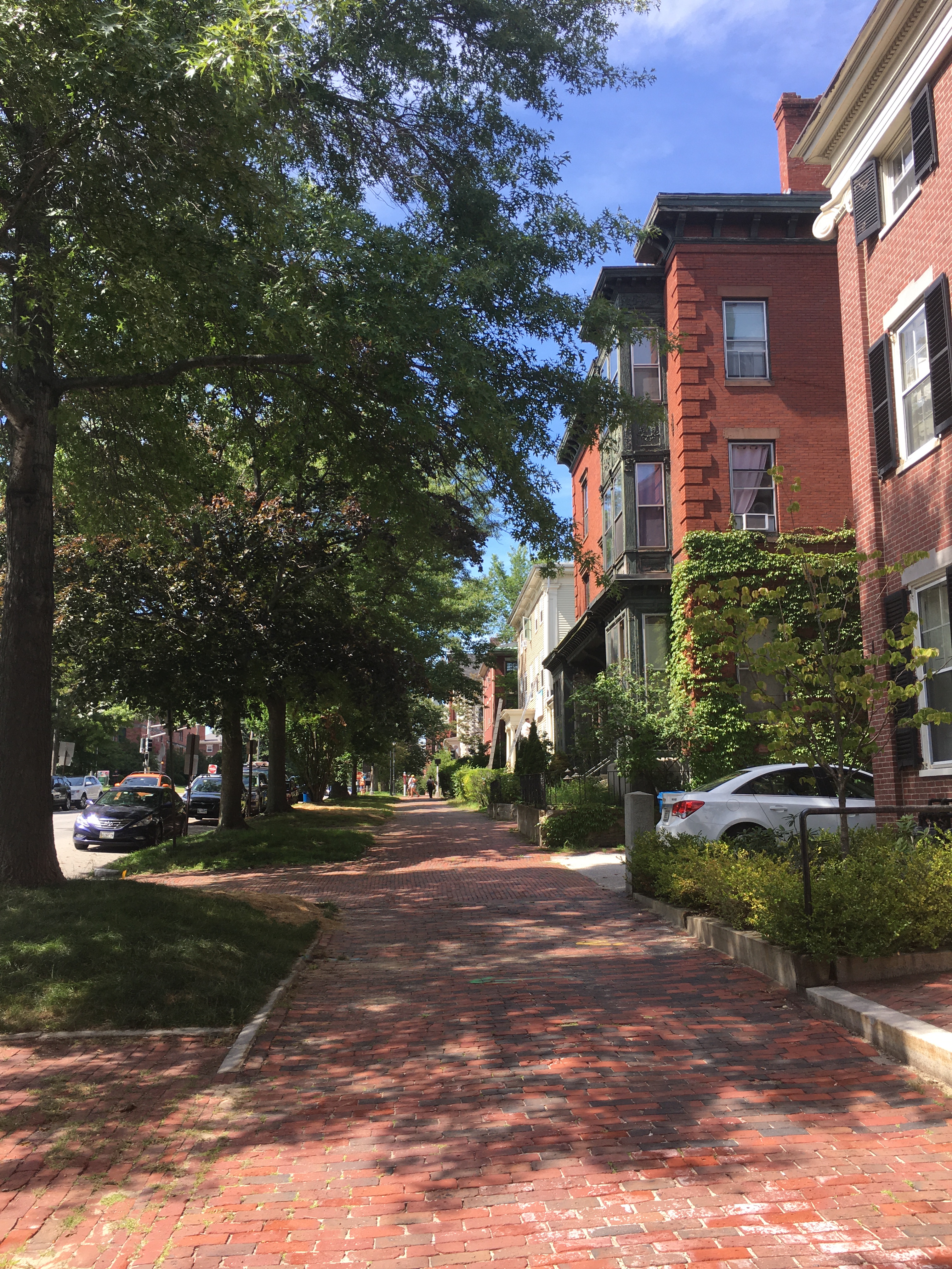 Brick sidewalk, brick houses on a tree lined street
