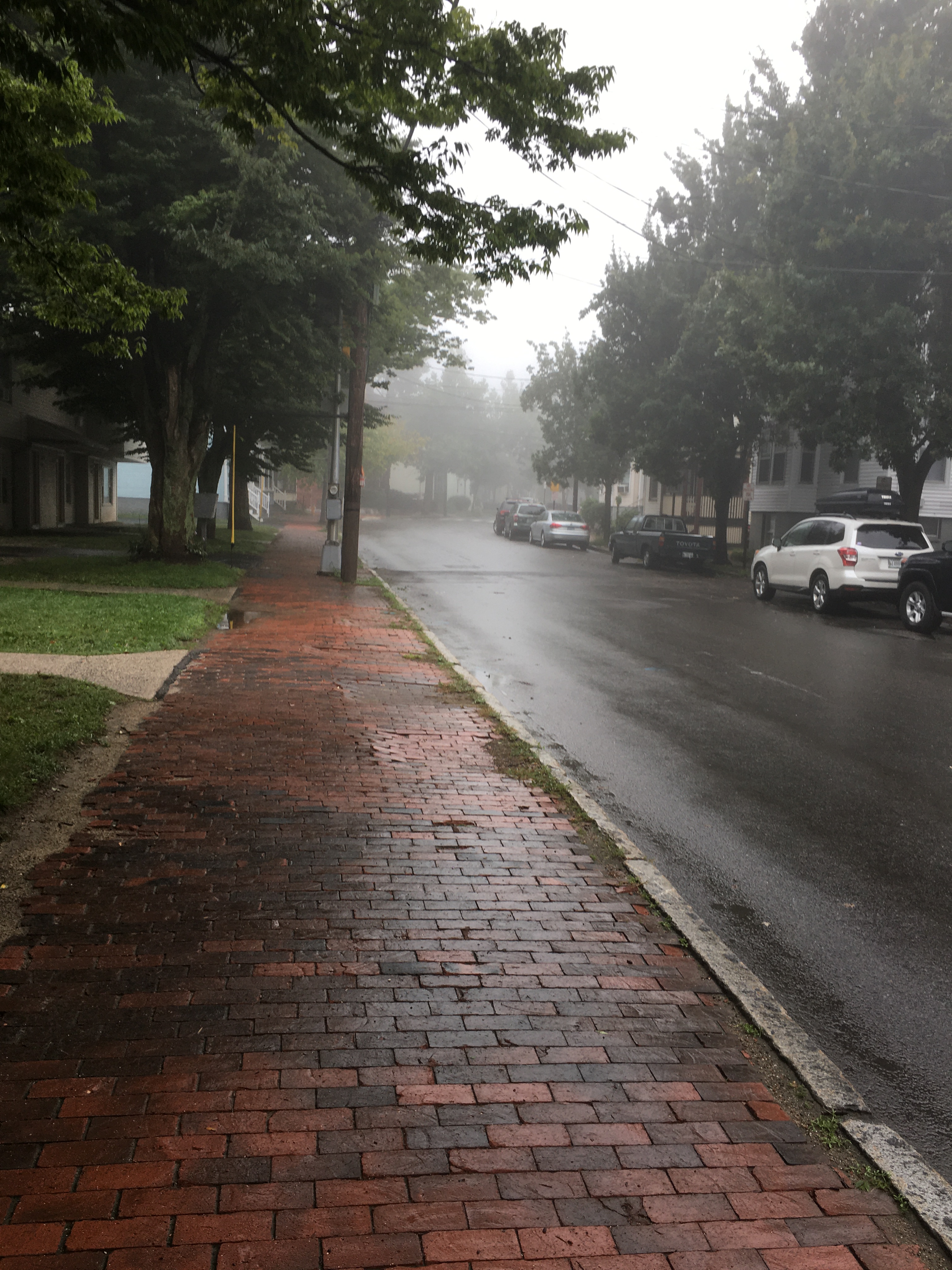 foggy view of a street in Portland
