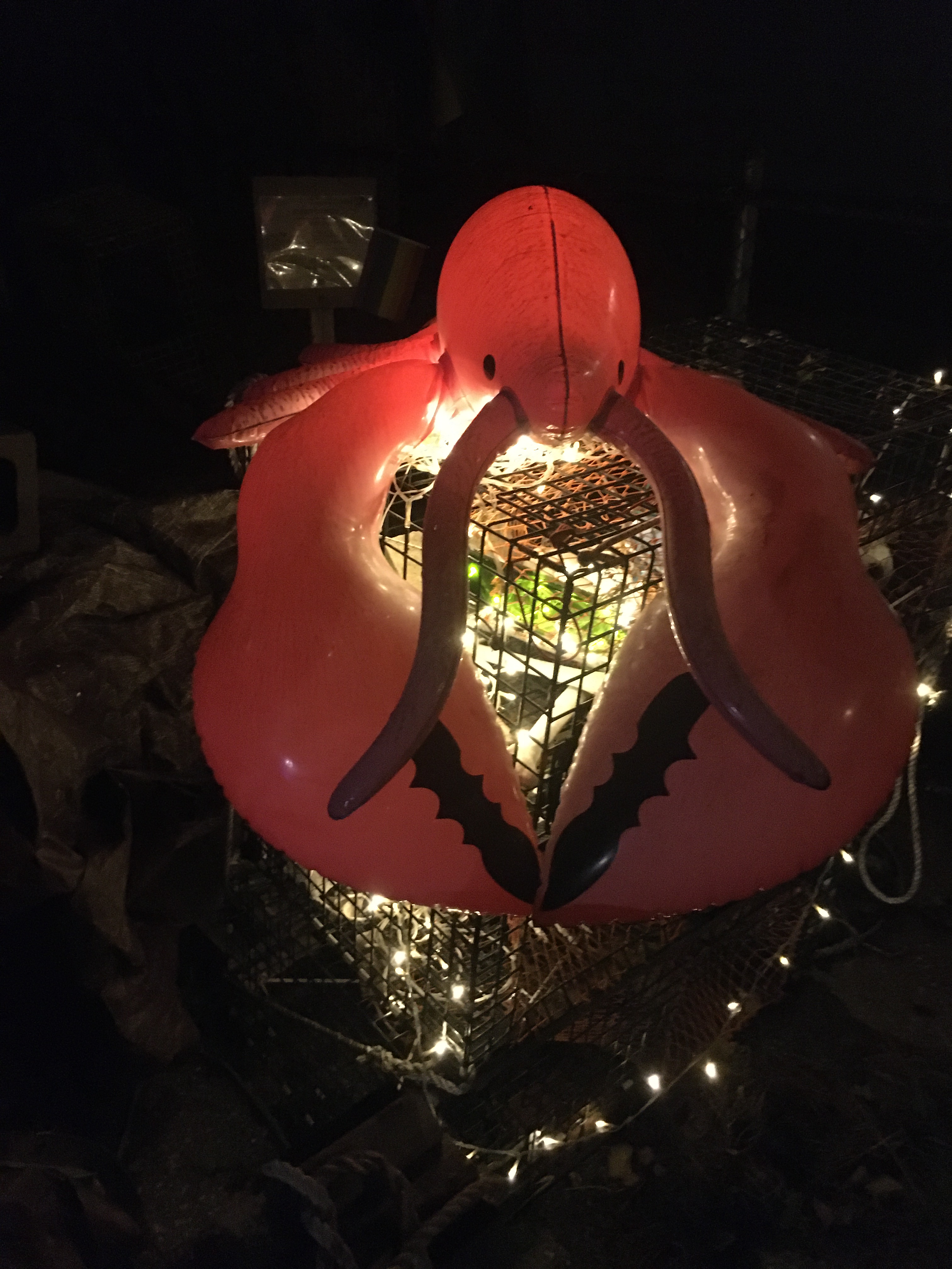 blow up giant lobster on a lobster cage