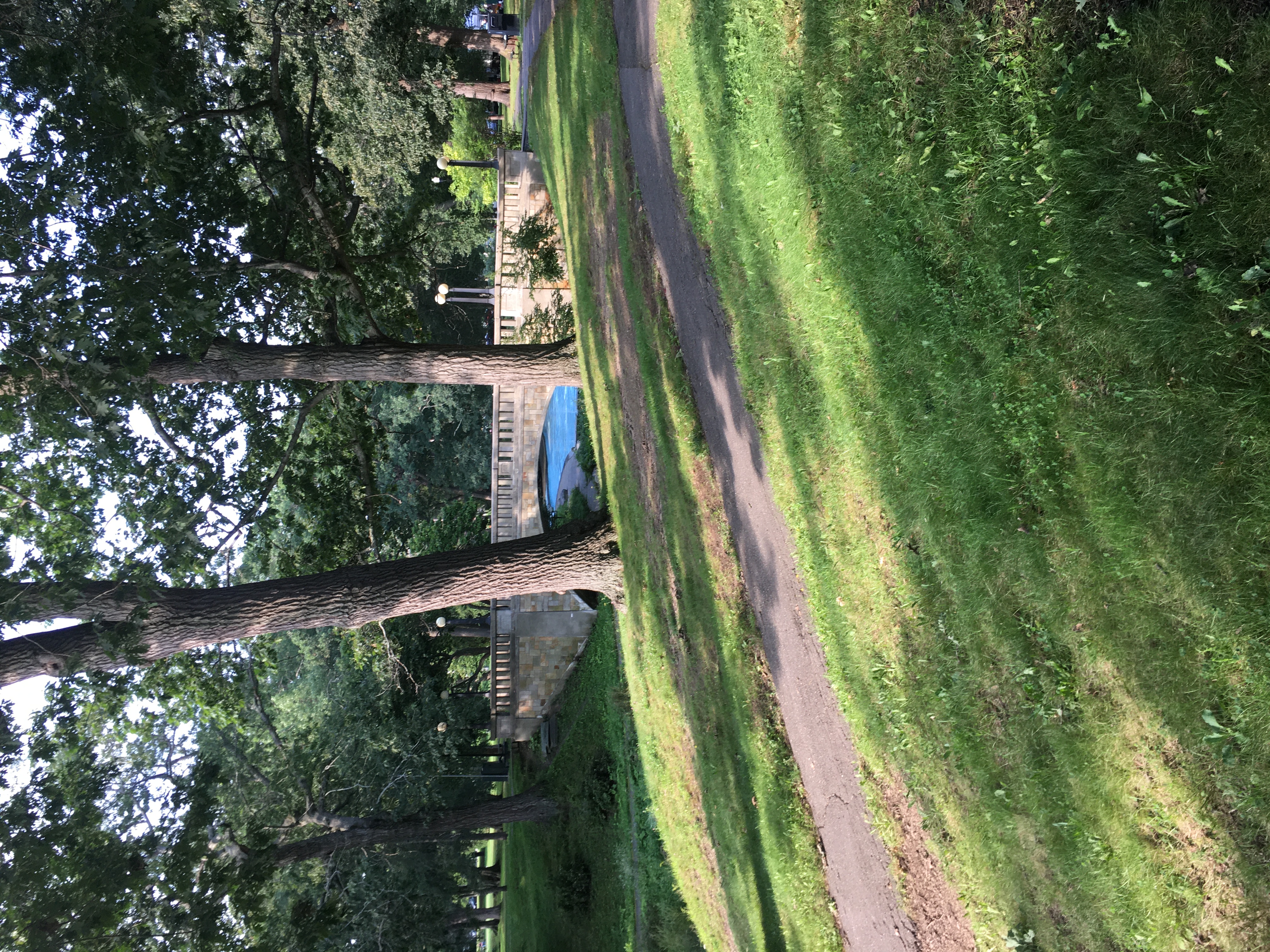 Deering Park in Portland Maine pedestrian bridge shown in a tree covered area