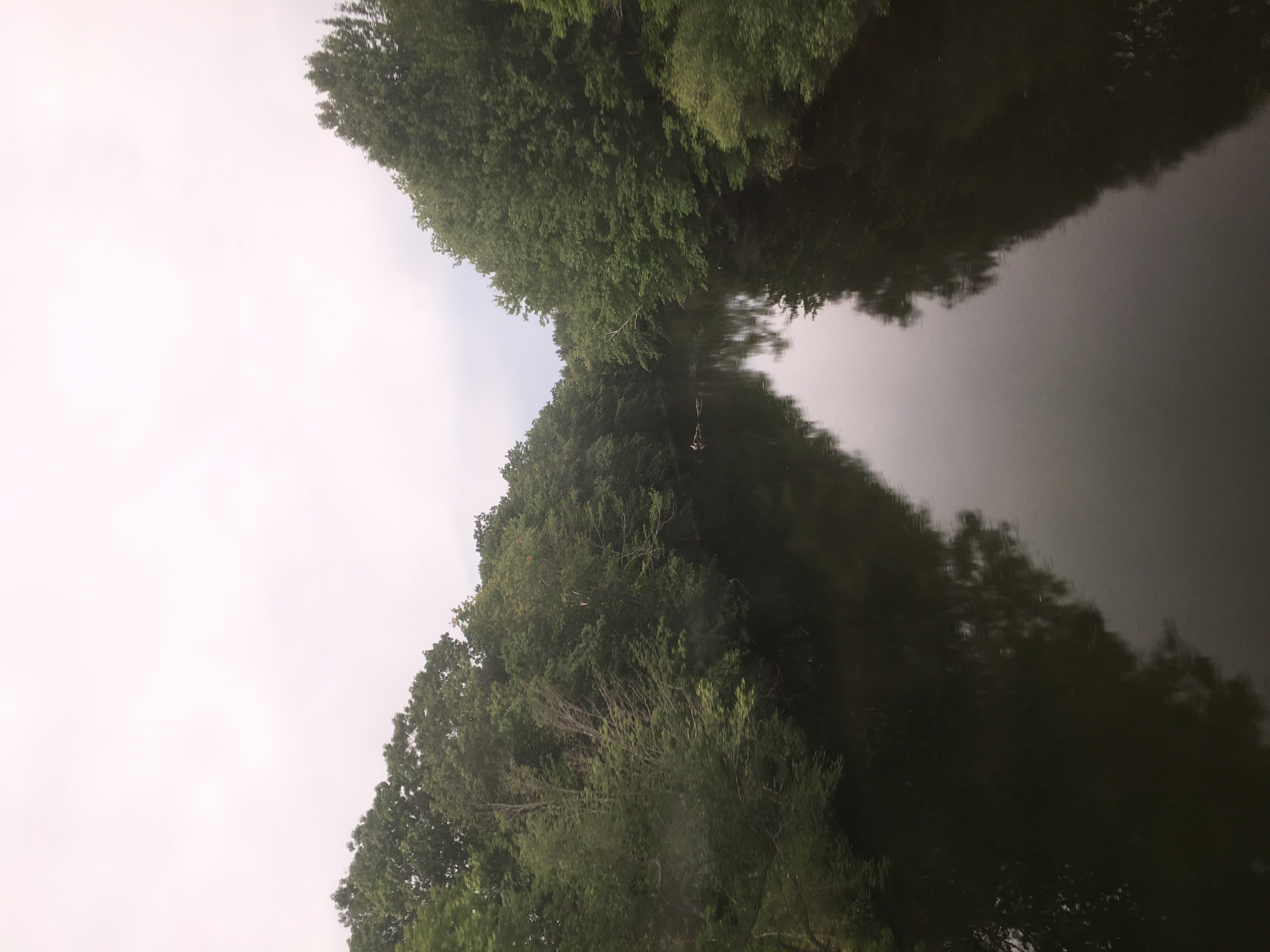 Royal River reflecting the sky with bushes on both sides