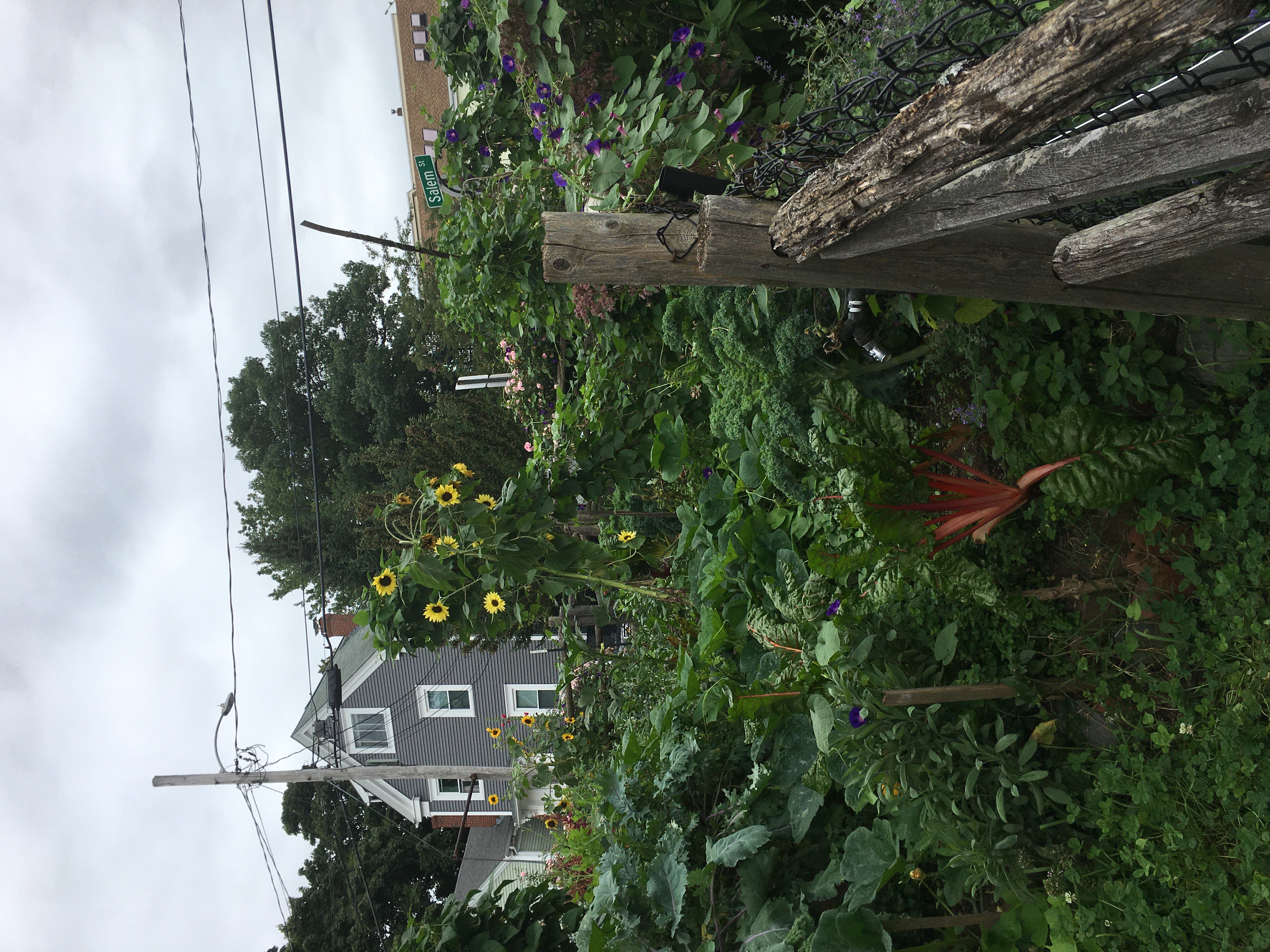 Clark Street Community Garden