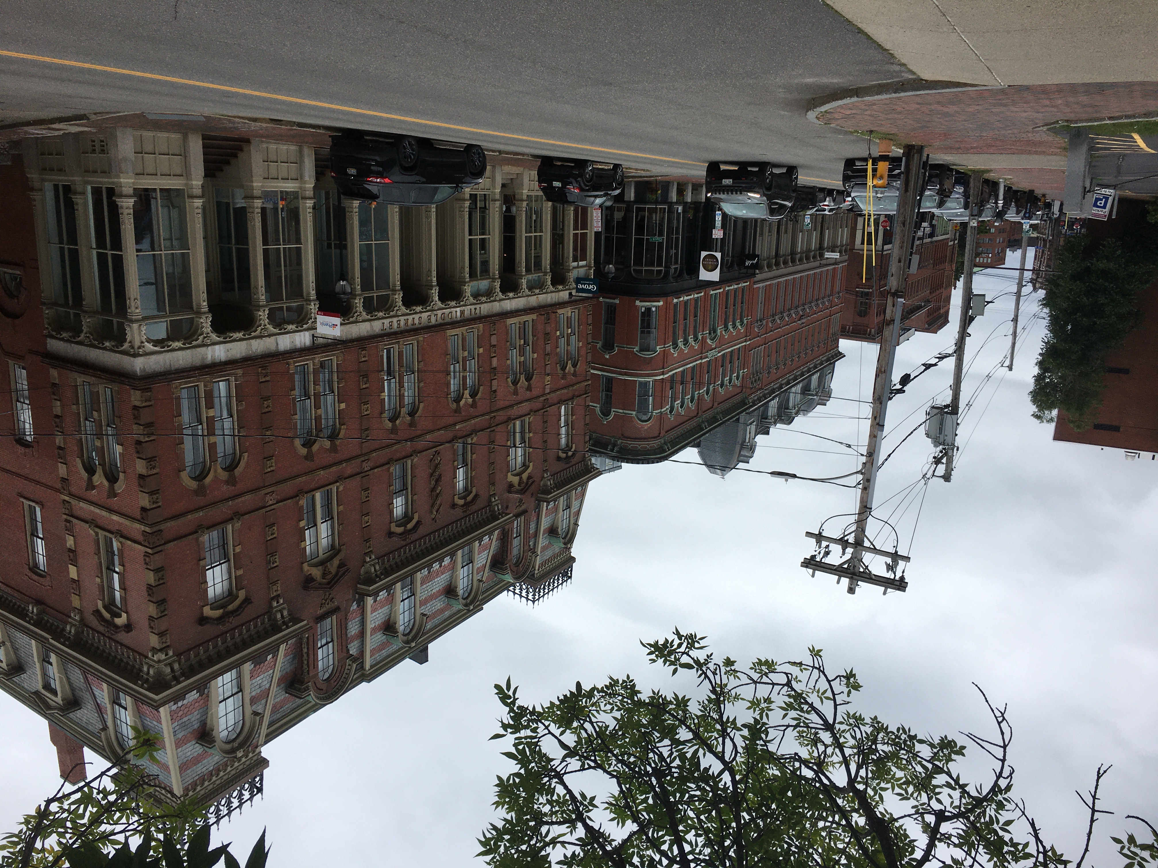 elaborate brick buildings with a gray sky