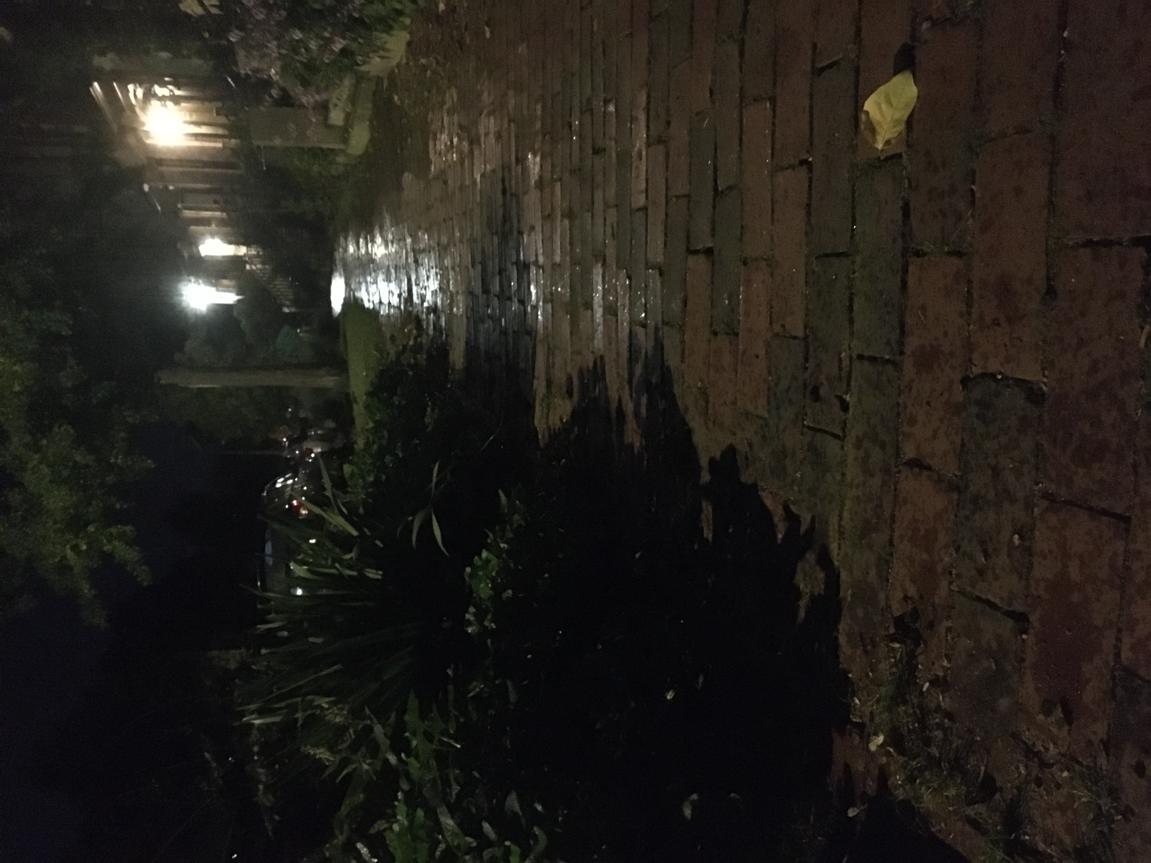 wet brick sidewalk and shimmering light in a rainstorm