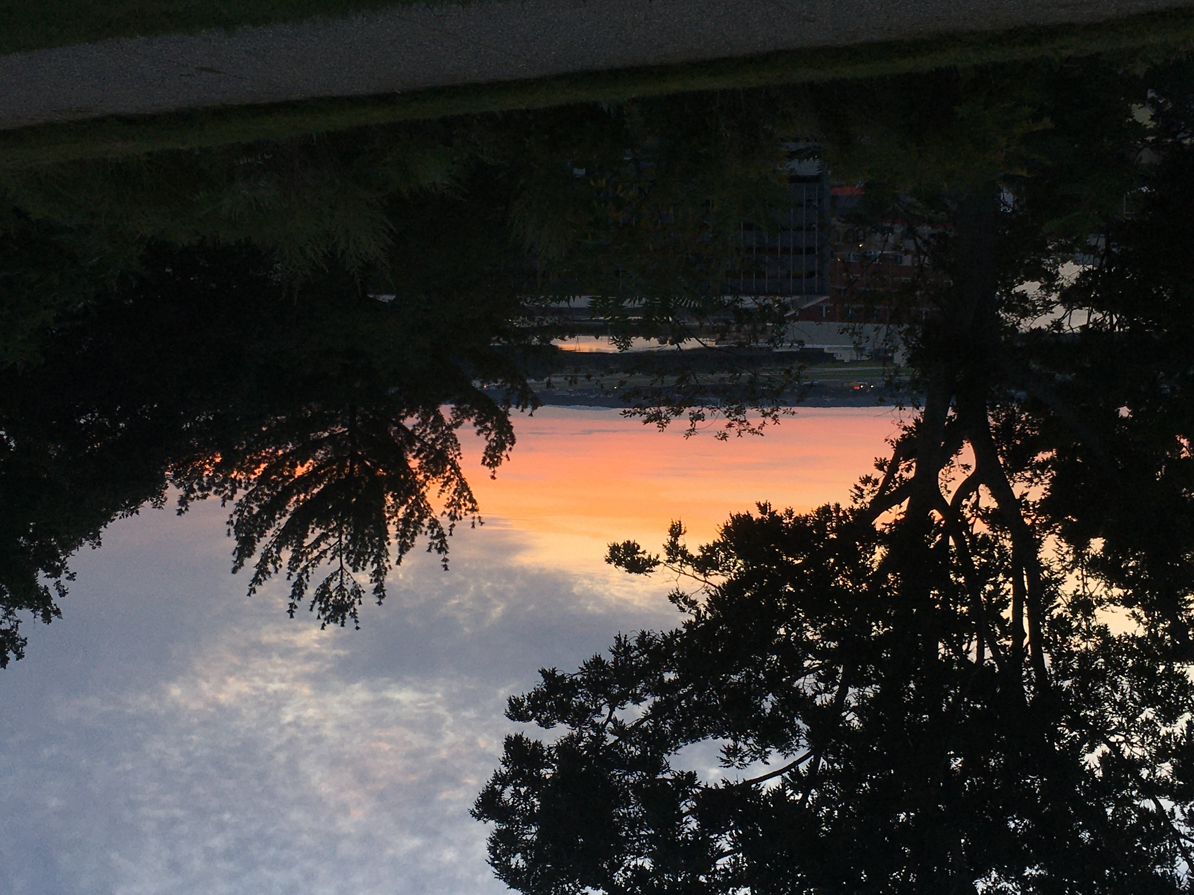 Sunset on the Western Promenade