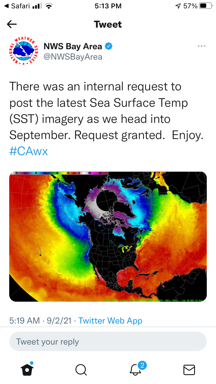 Twitter post showing the sea surface temperature in colors