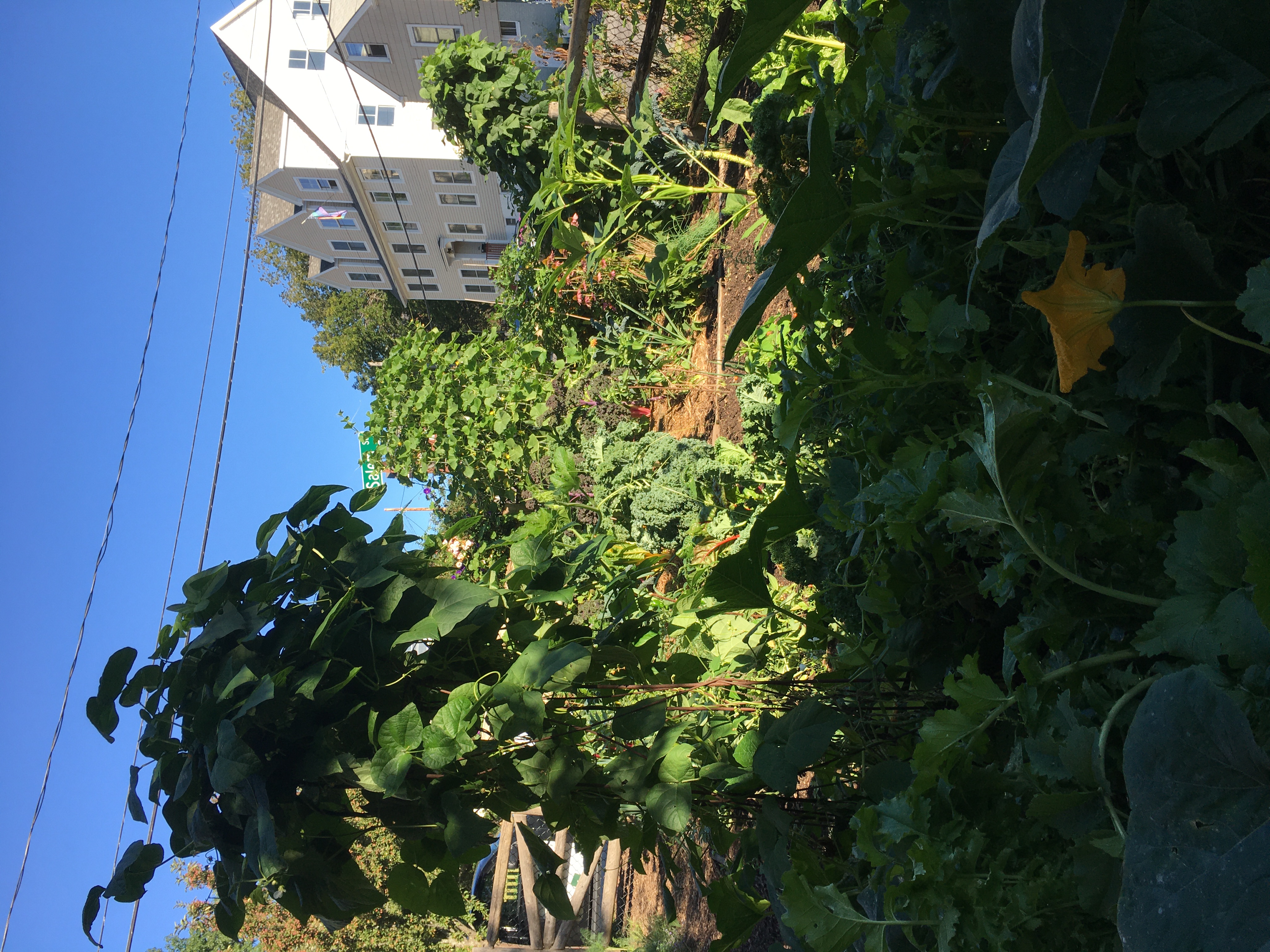 Clark St. Community Garden