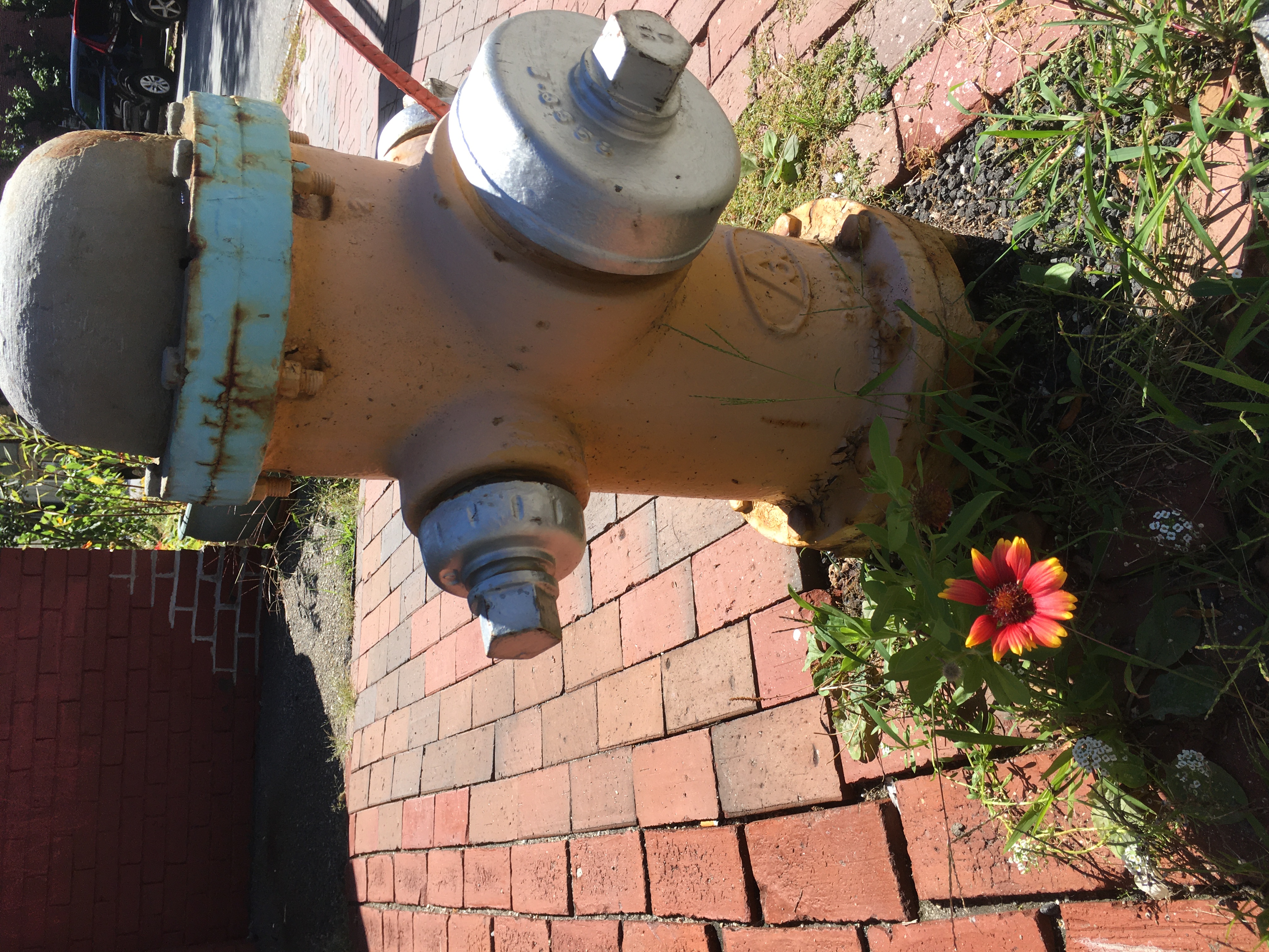 an old fashioned fire hydrant with a flower at the base