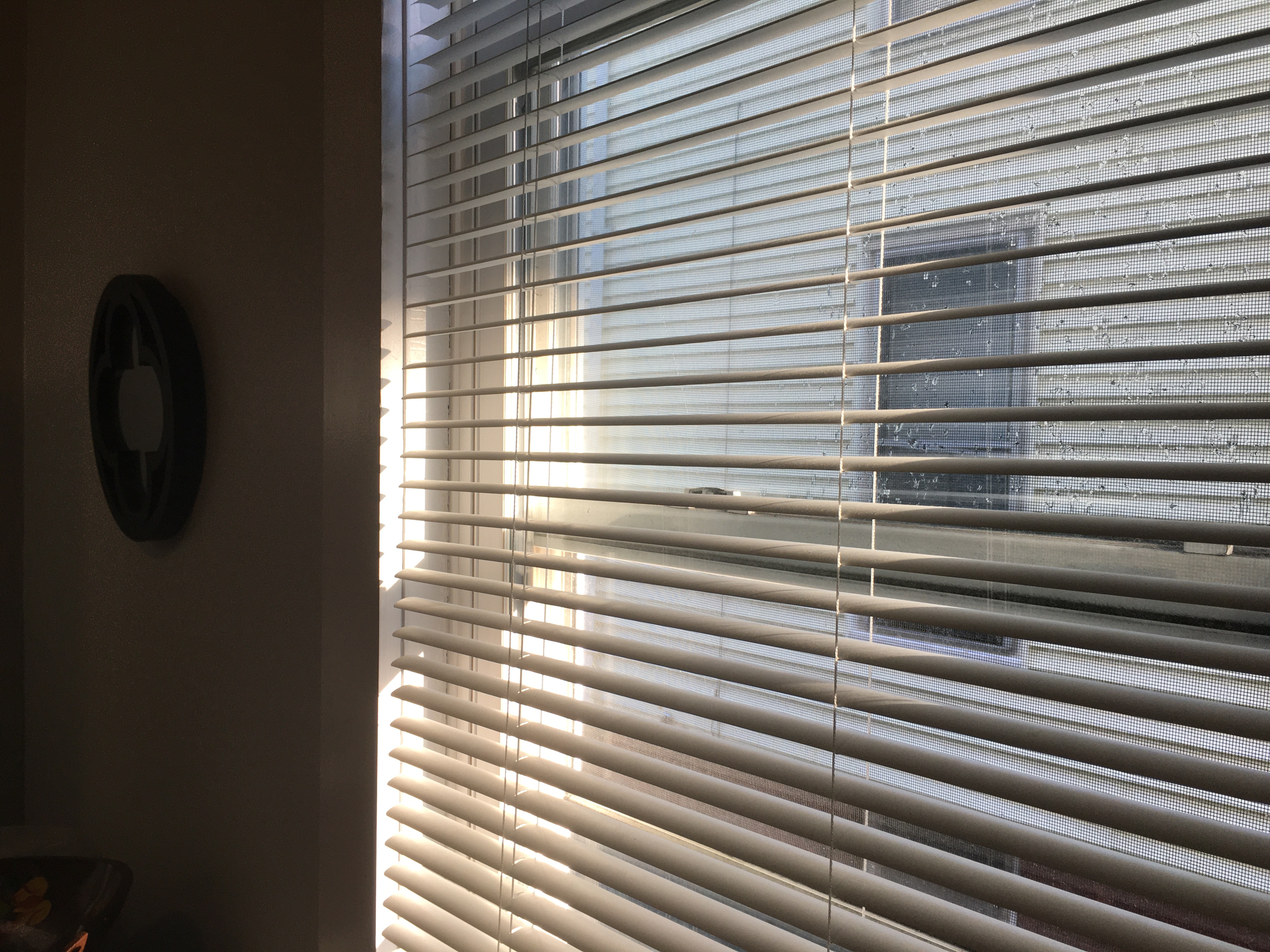 venetian blinds with sunlight