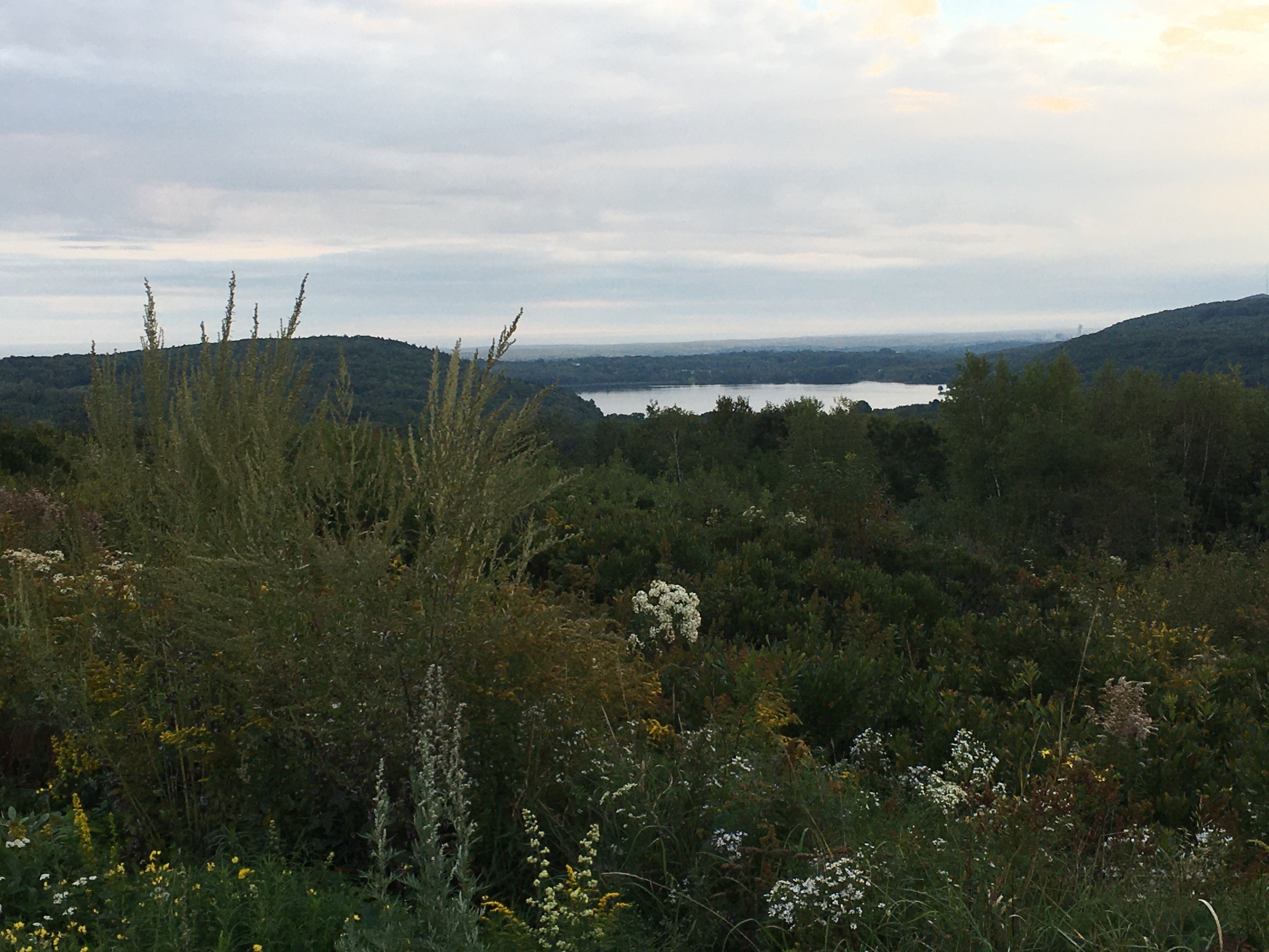 view of lake in Rockland
