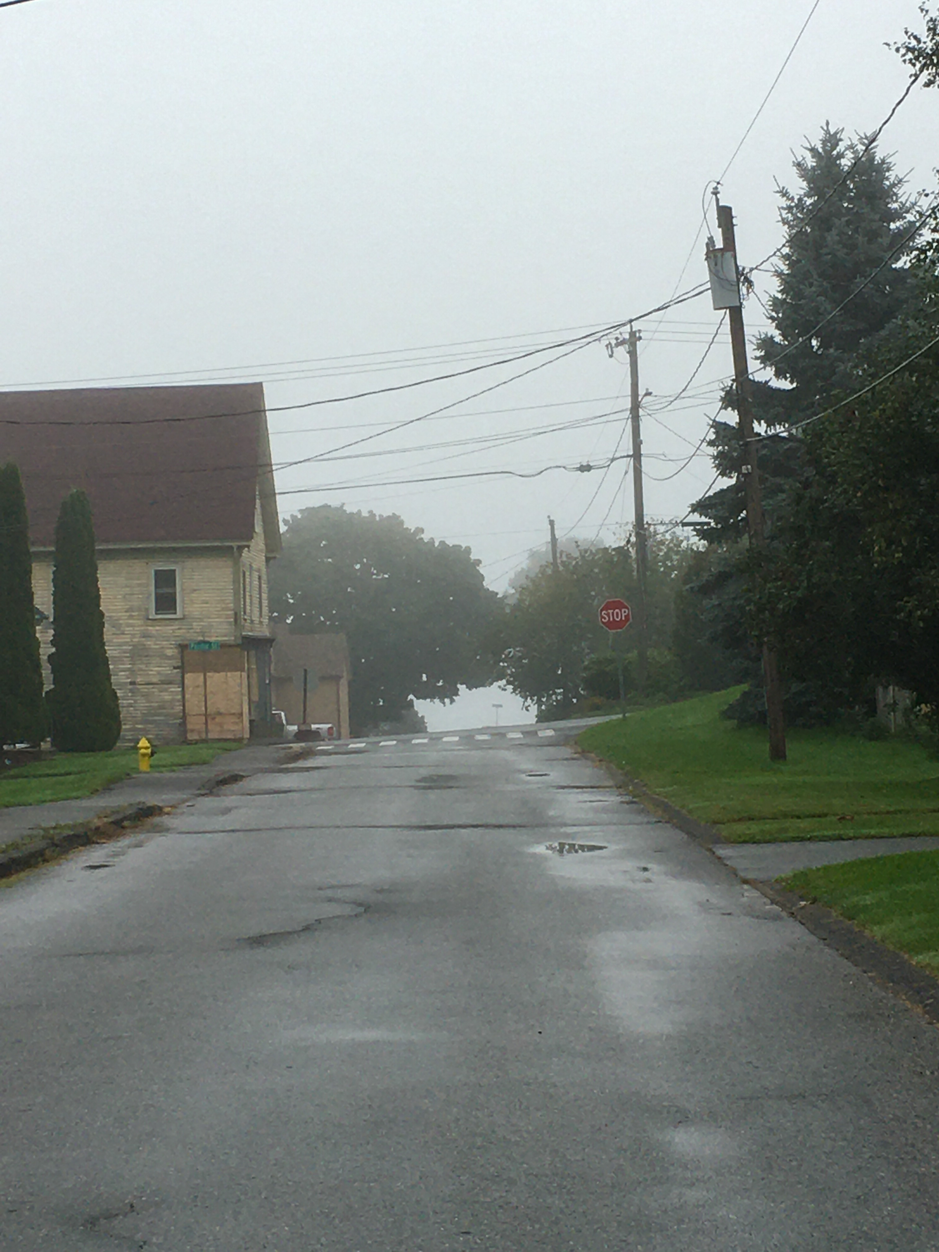 foggy street view