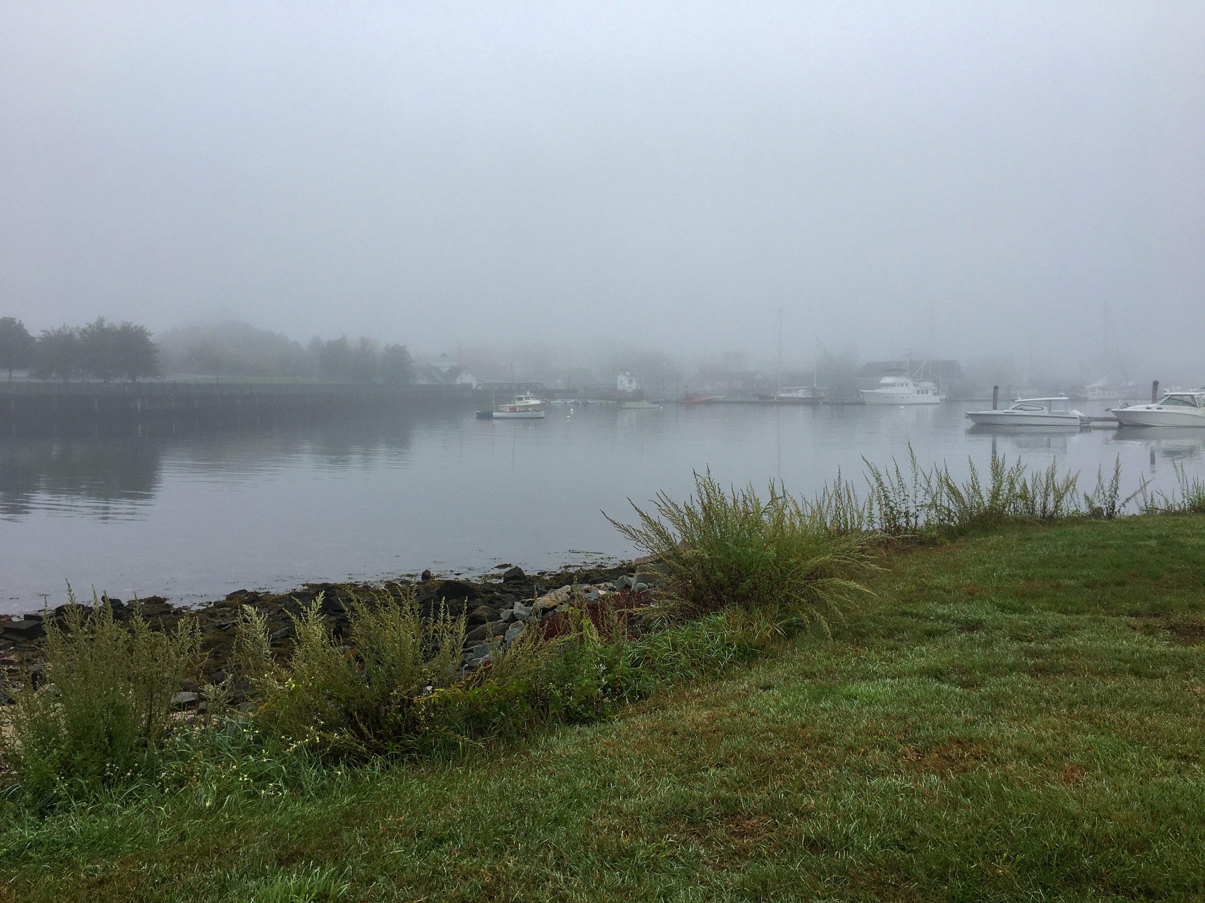 the boardwalk view of fog on the water with boats