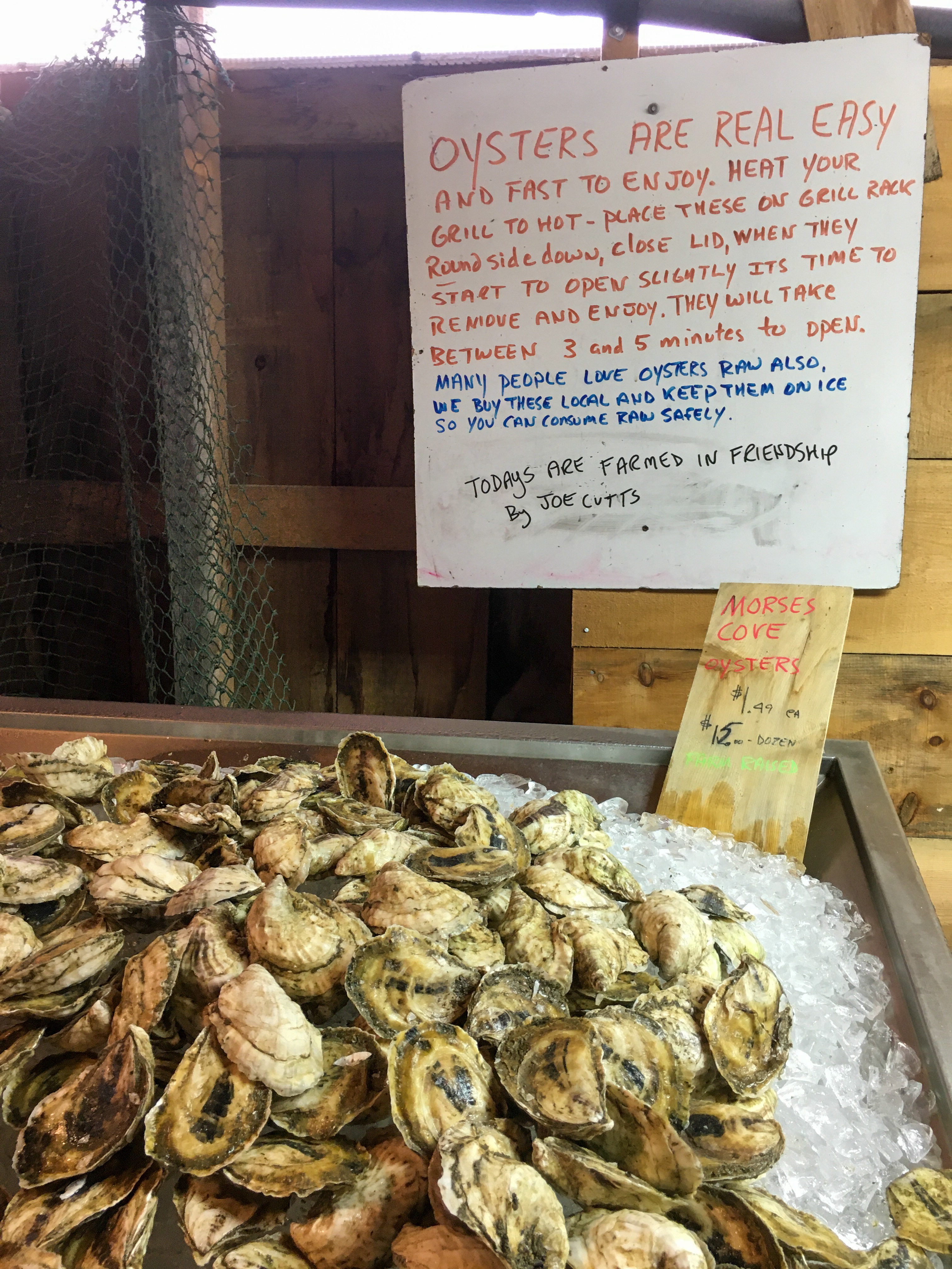 oysters