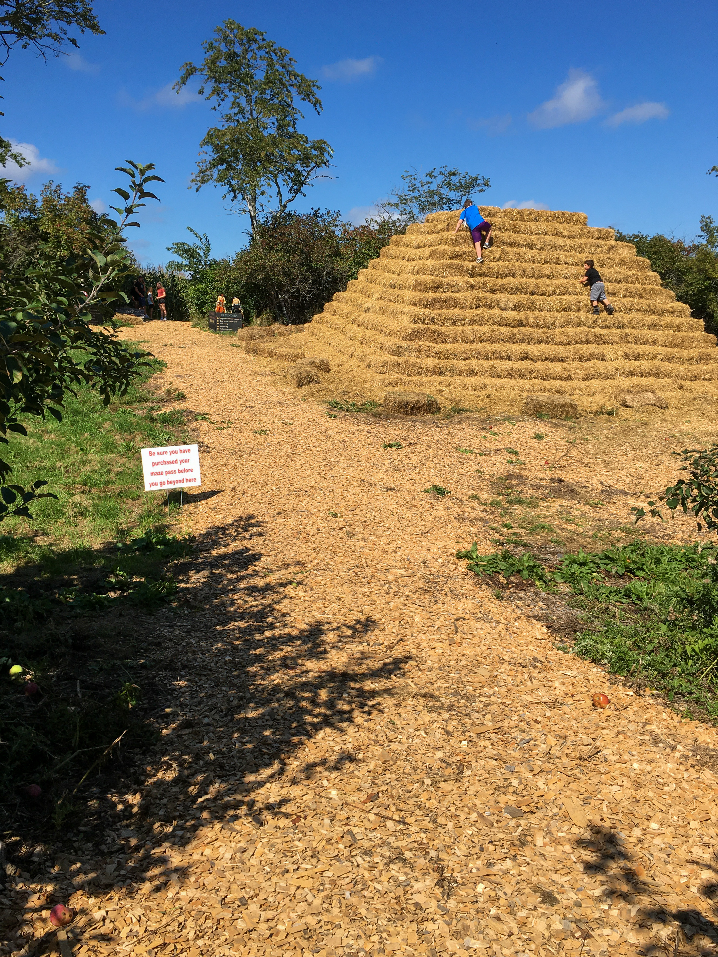 hay pyramid and corn maze