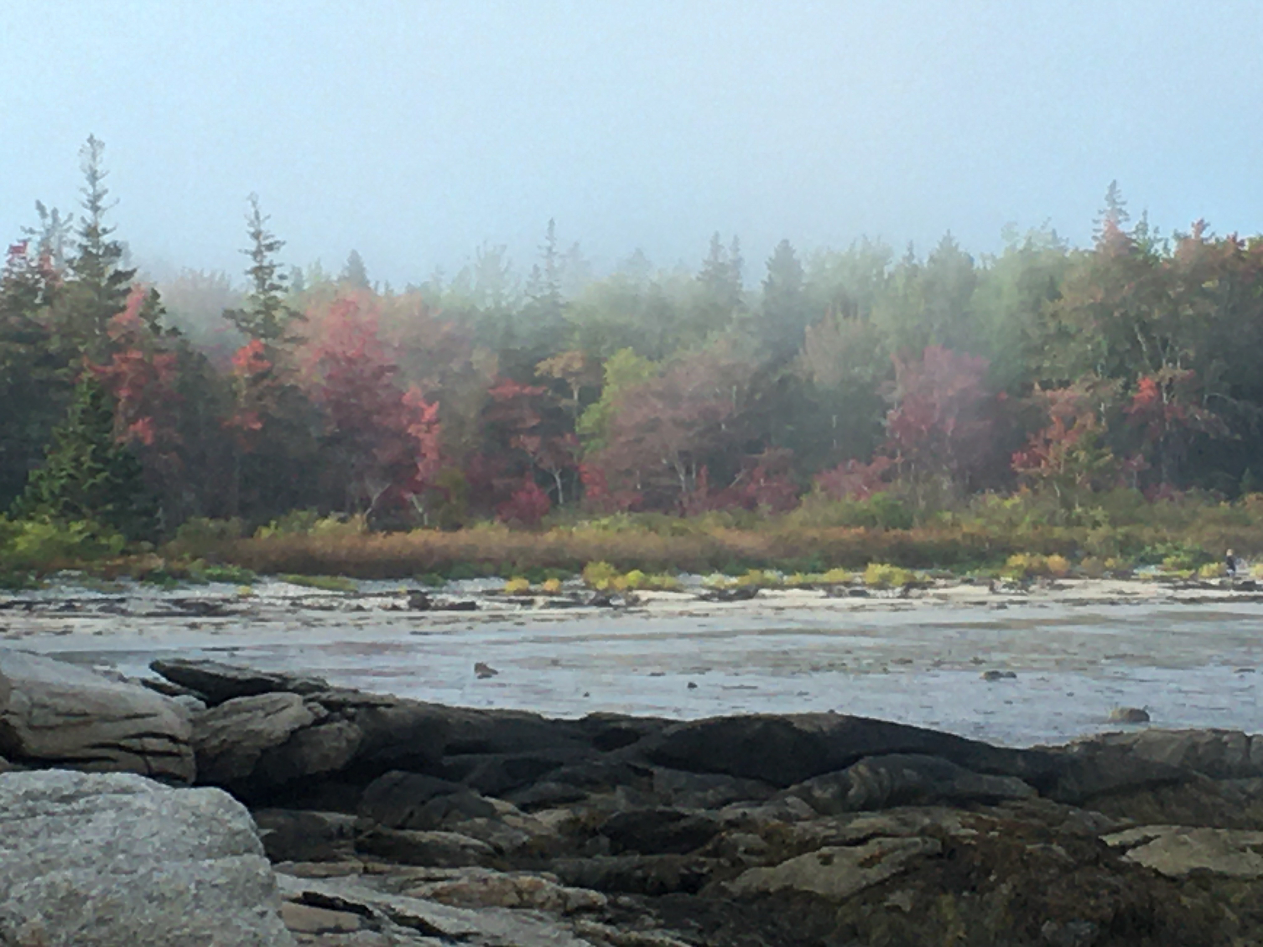 fall foliage starting at the beach