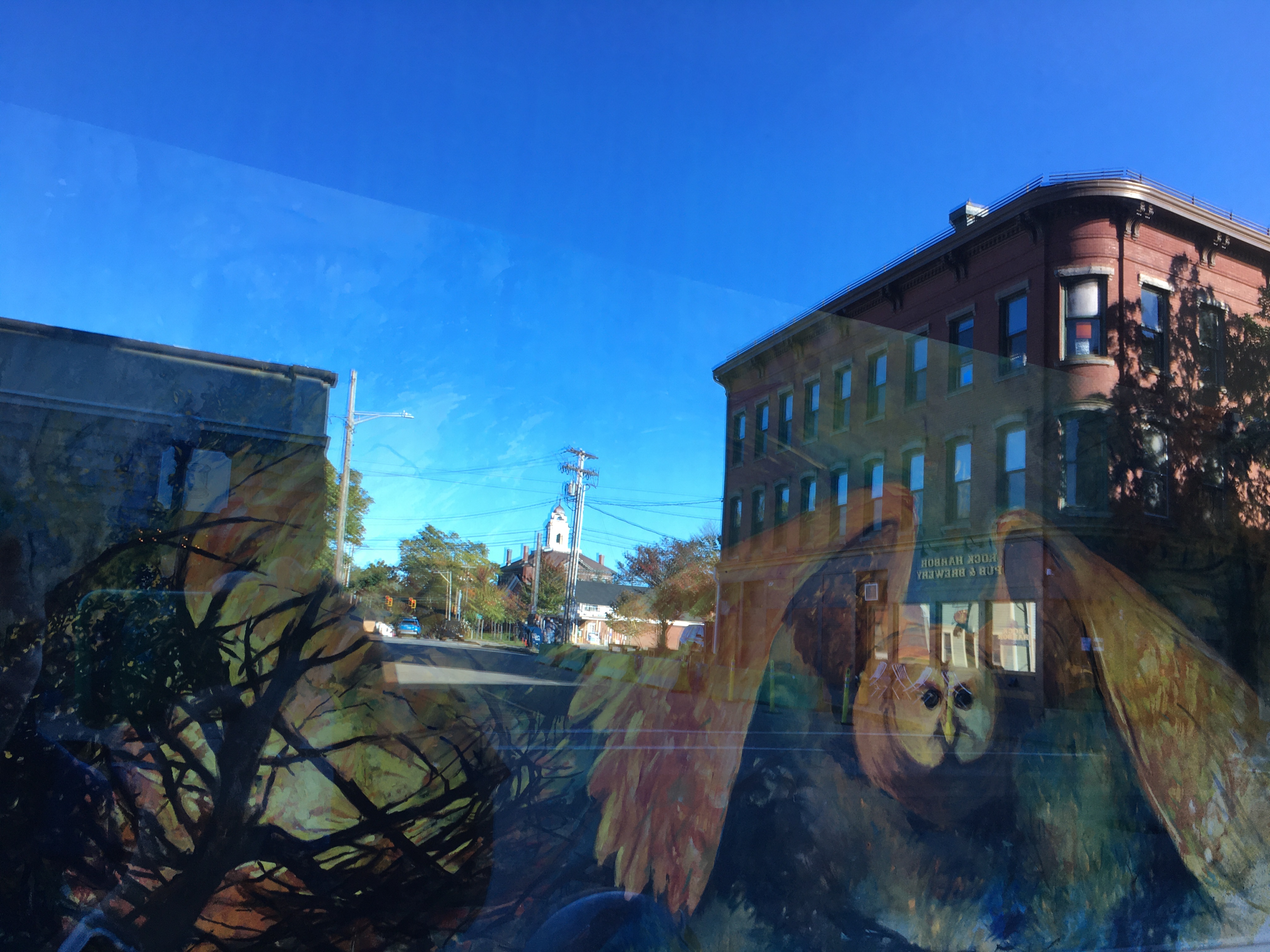 painting of a barn owl with buildings and sky reflected