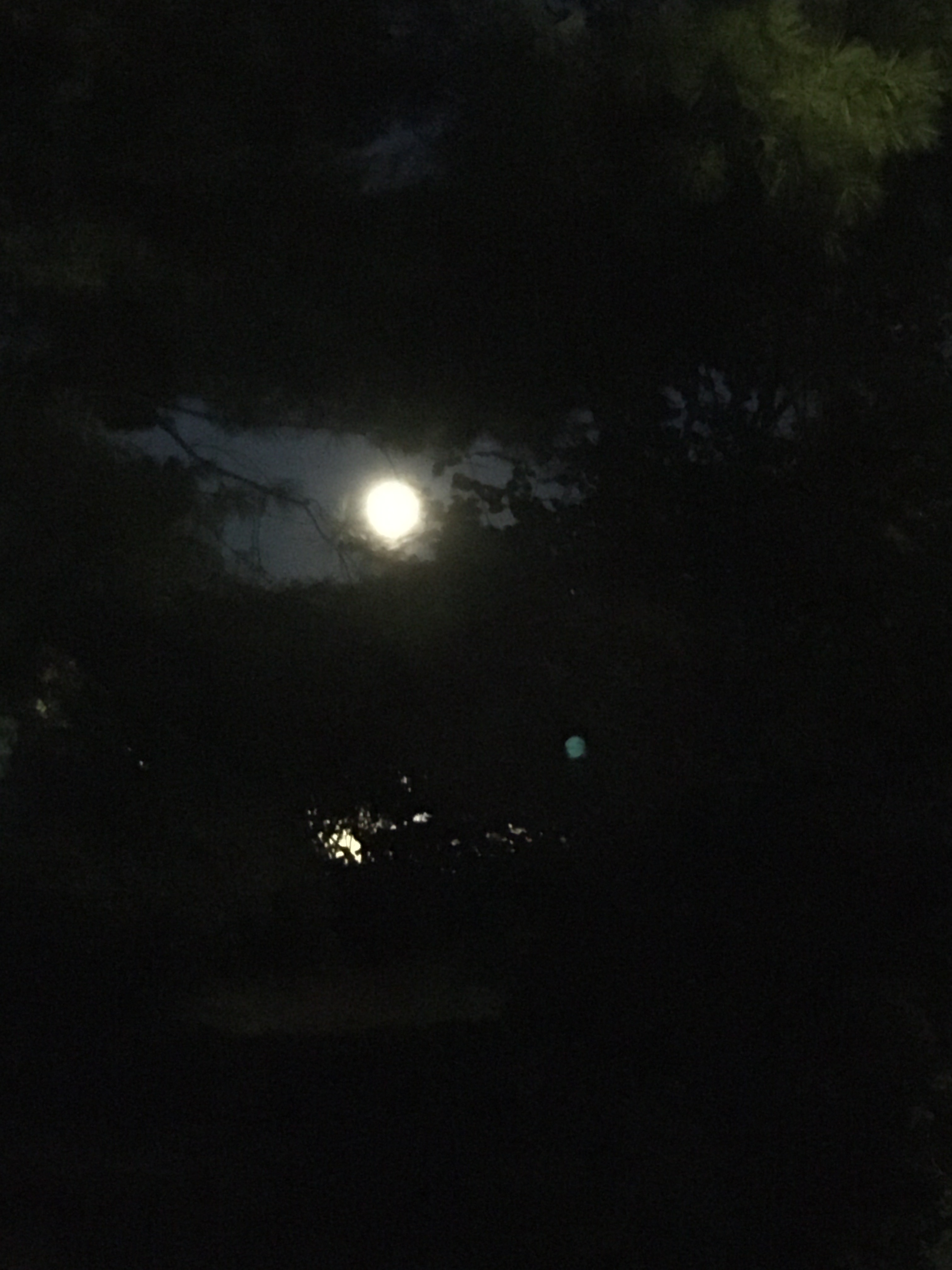 nearly a full moon