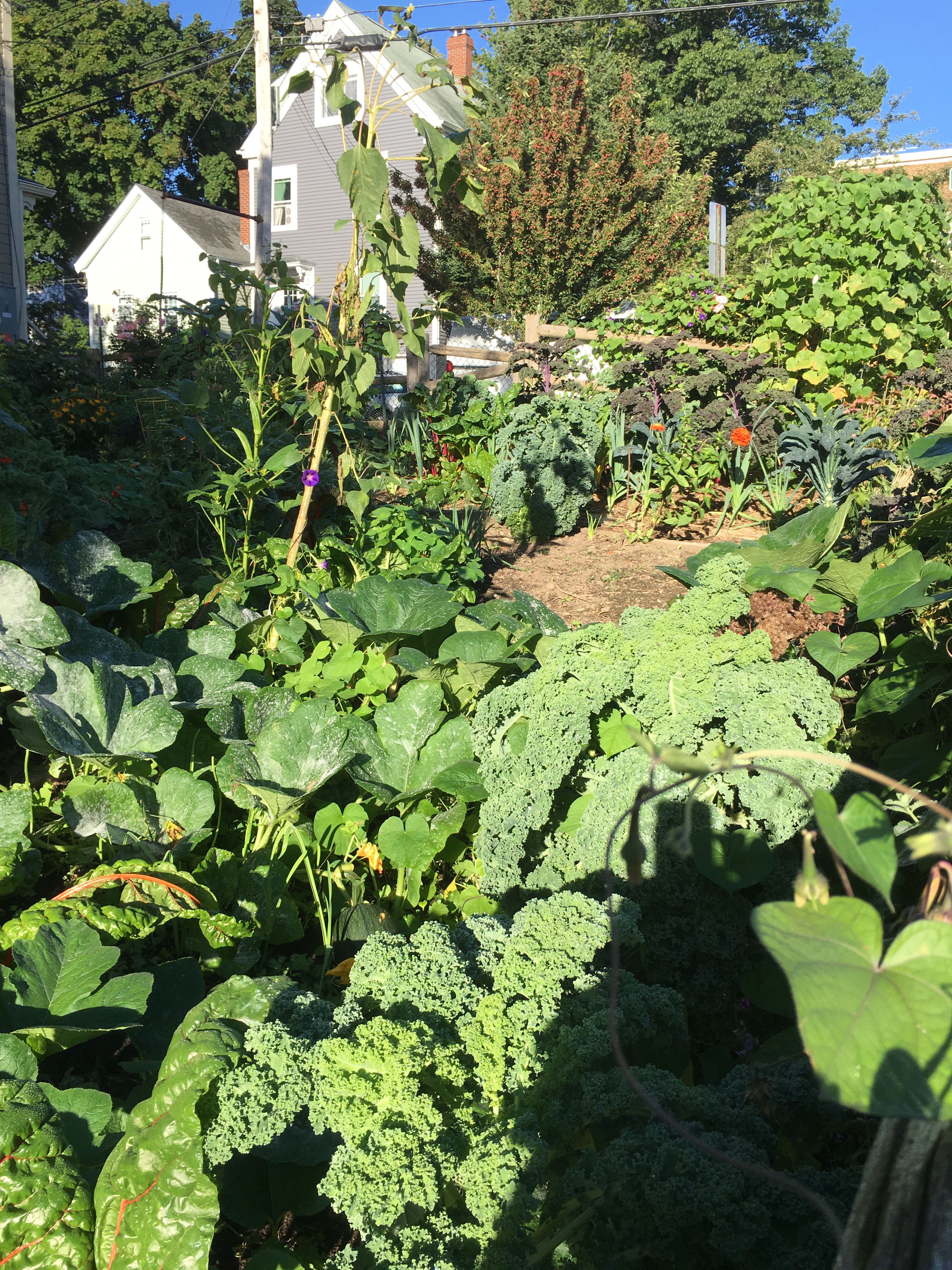 garden is still lush