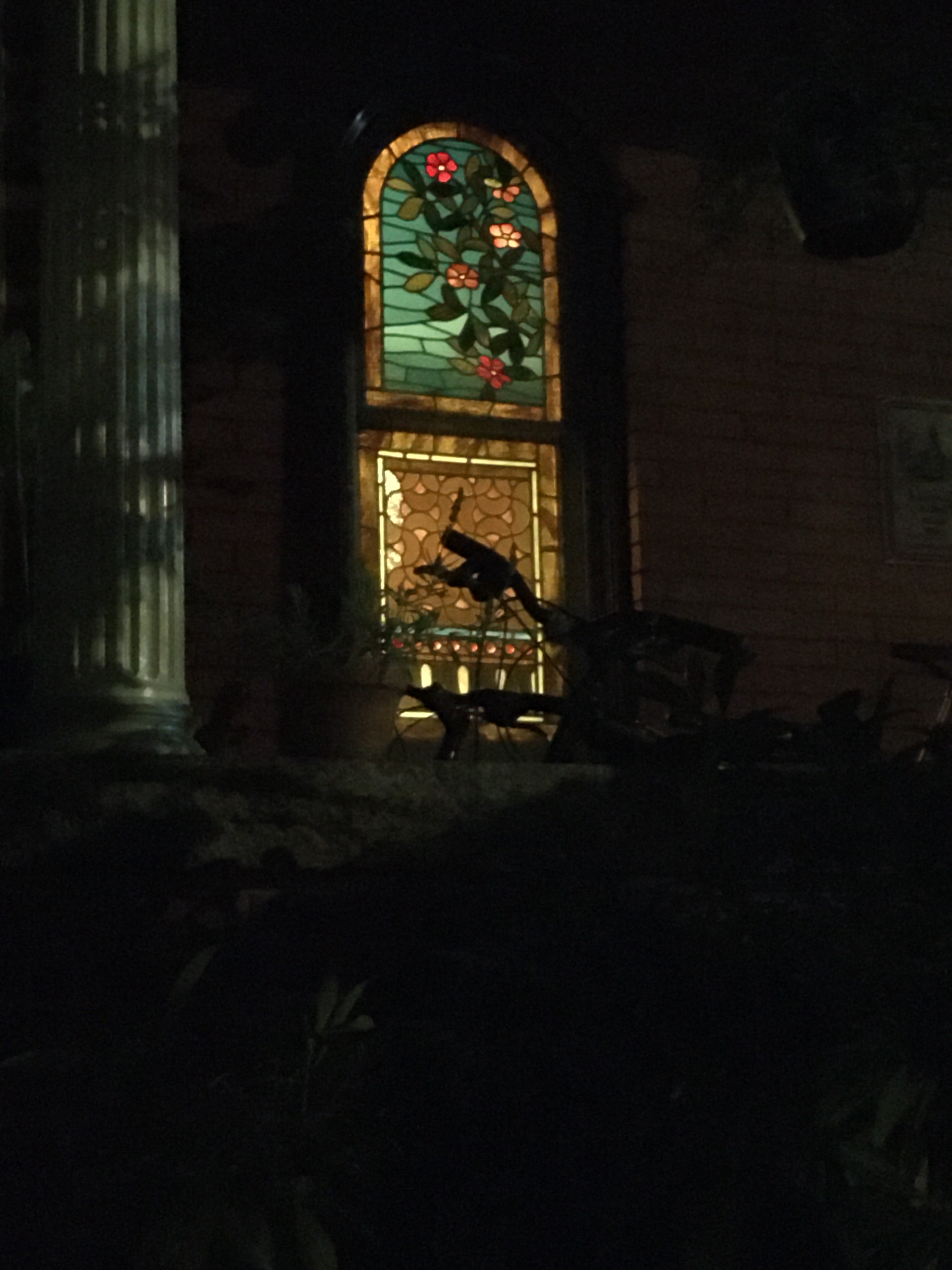 beautiful window of stained glass