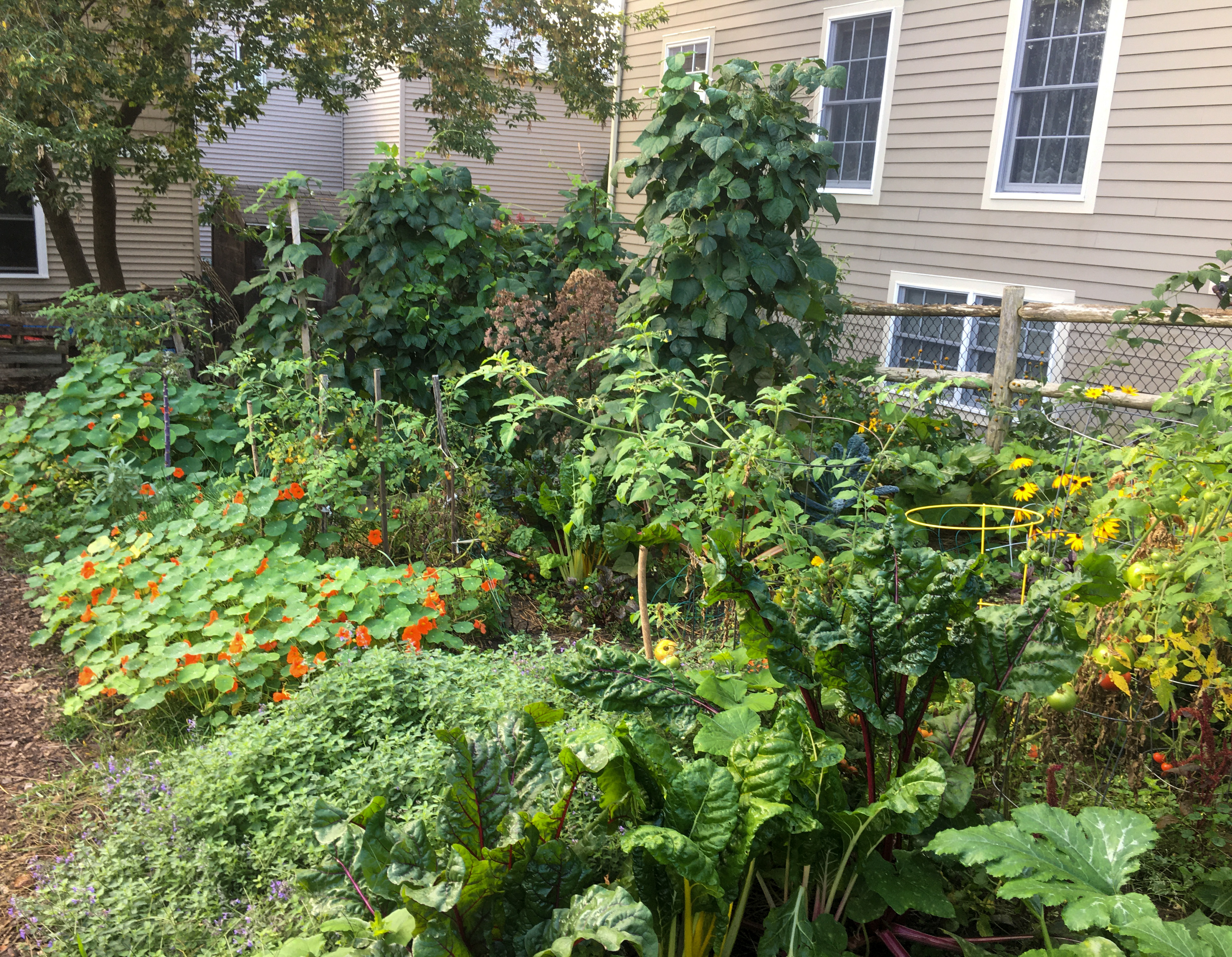 community garden