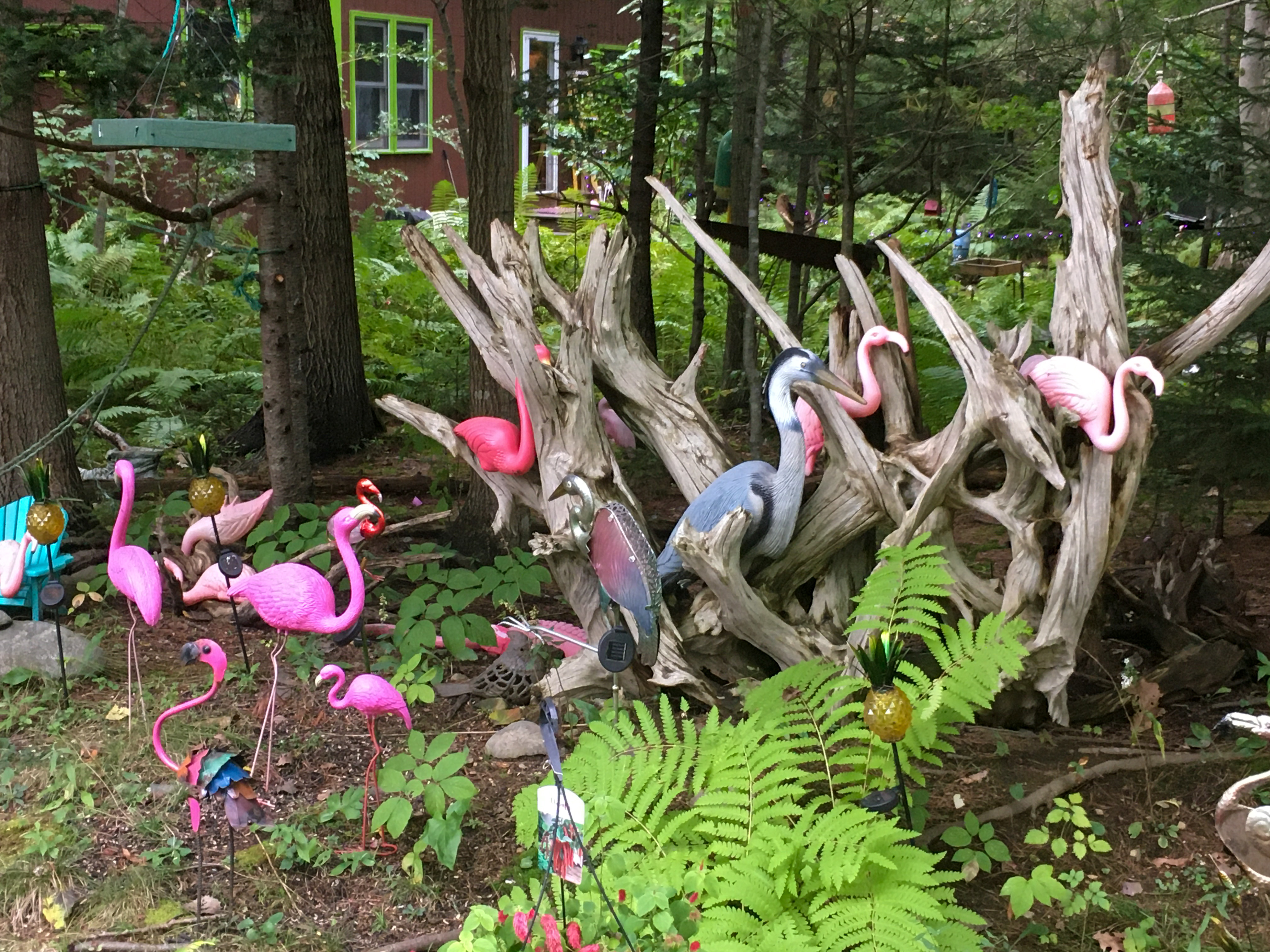 a forest of fake pelicans