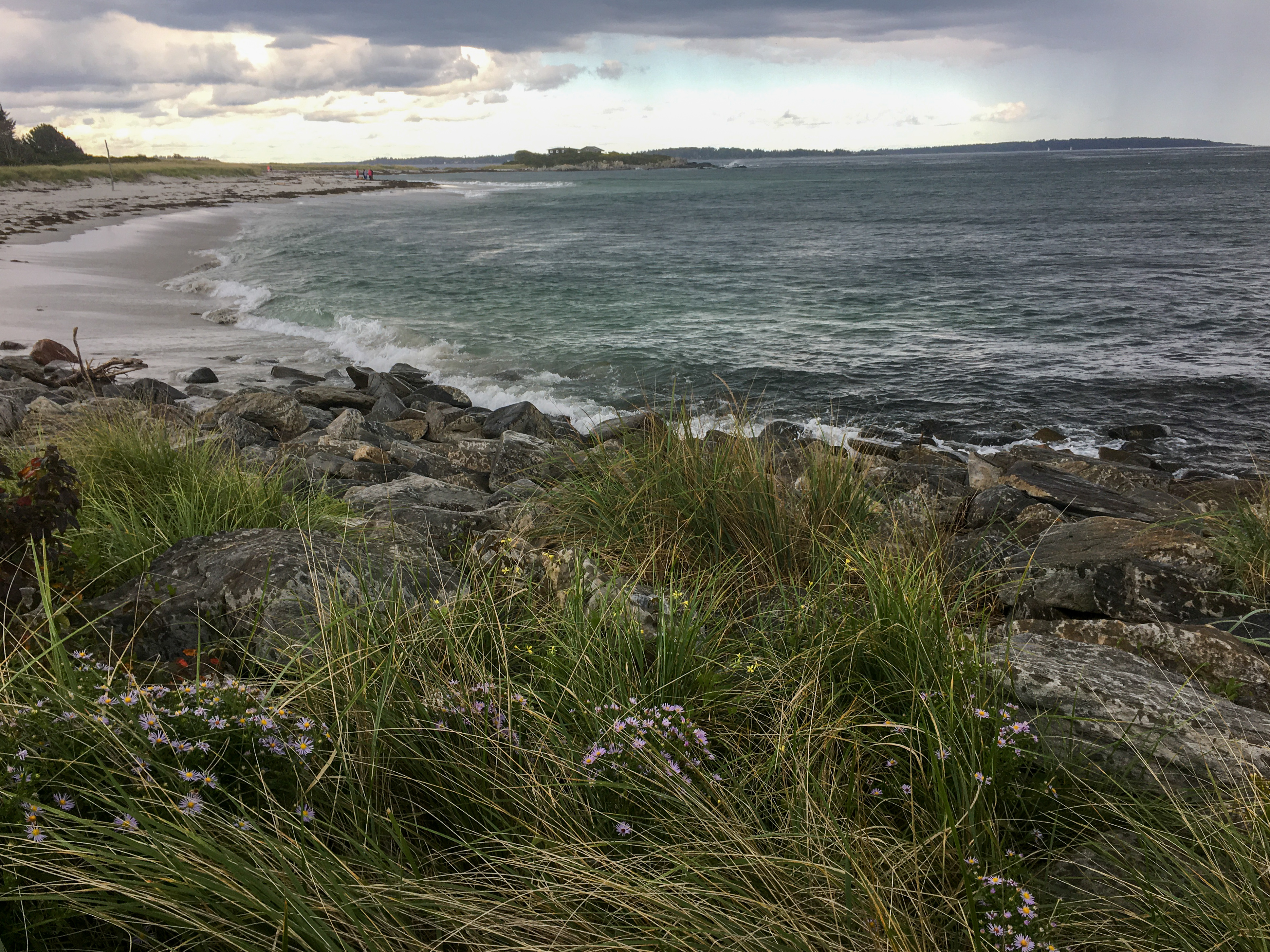 beach with grass in front