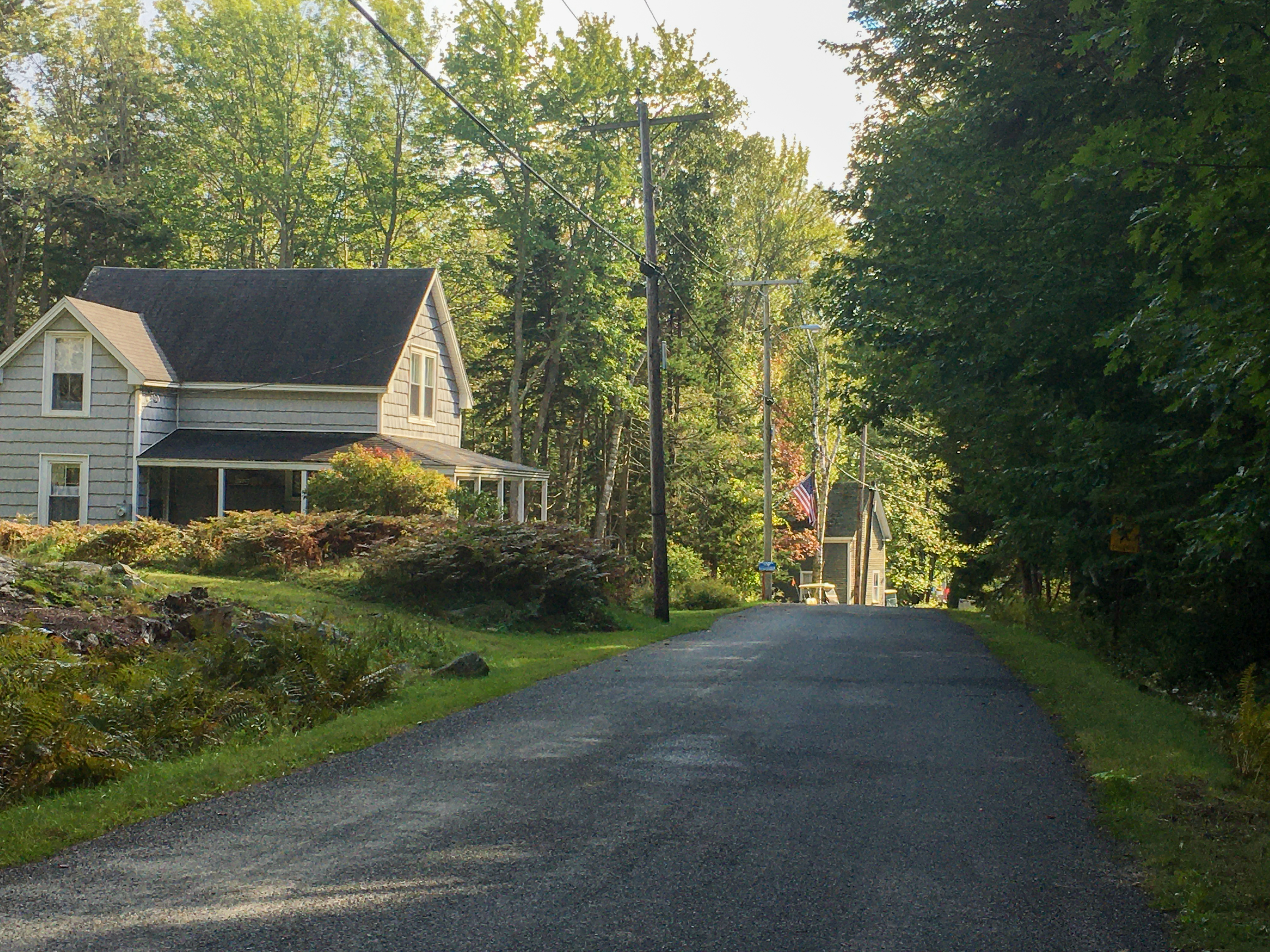 a sweet road with nice light and houses