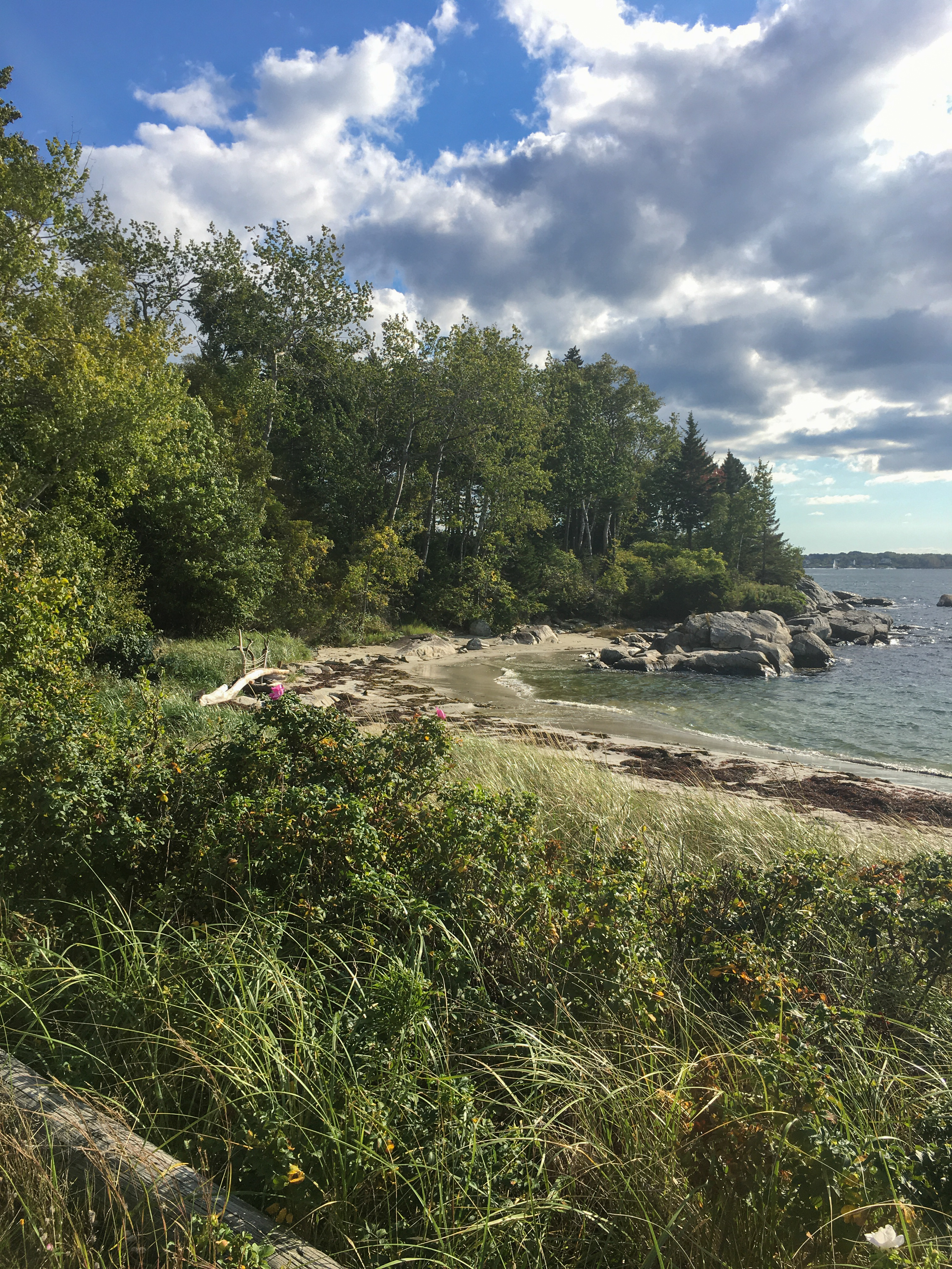 beach with rocks