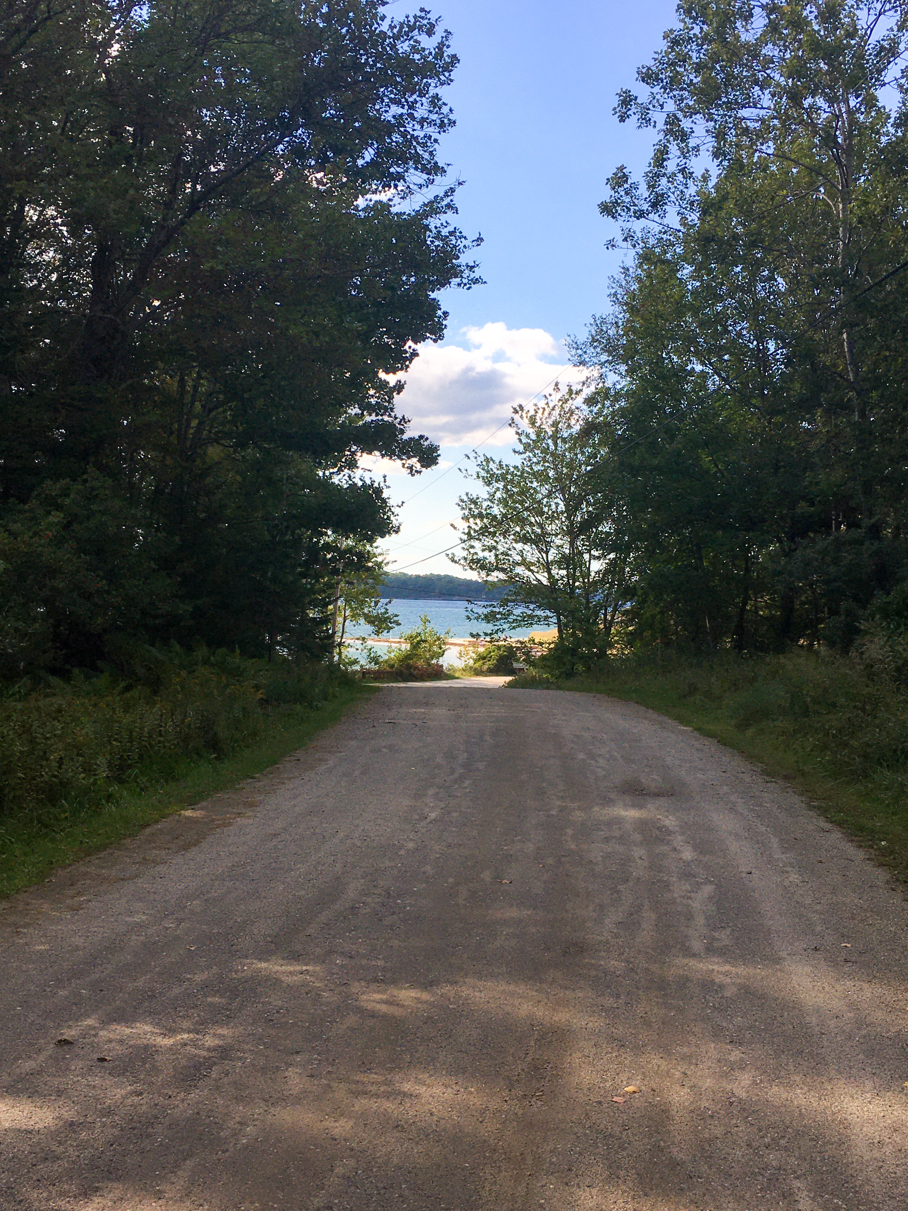 dirt road leading to the ocean with trees on either side