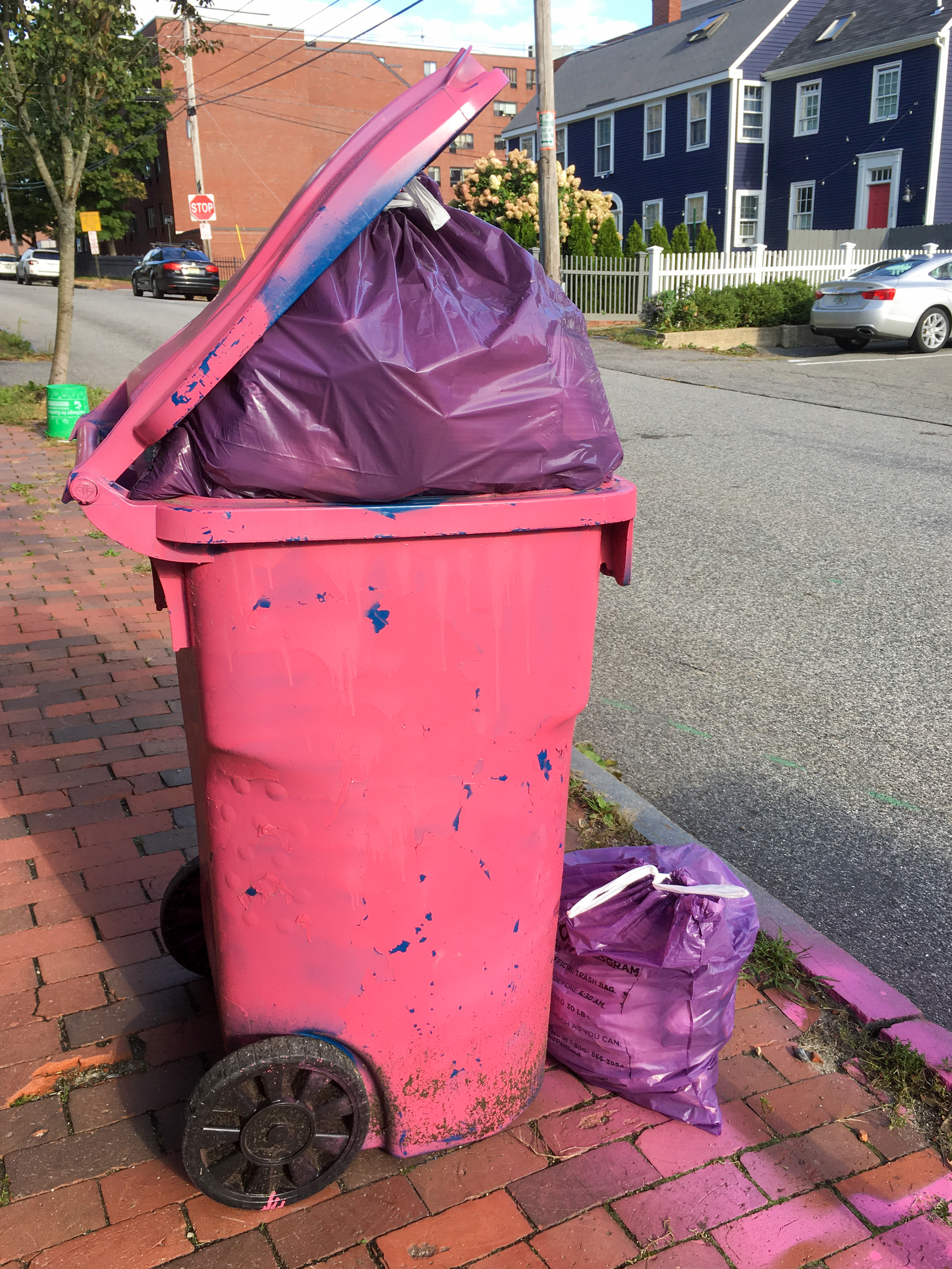 pink painted garbage can with purple bags