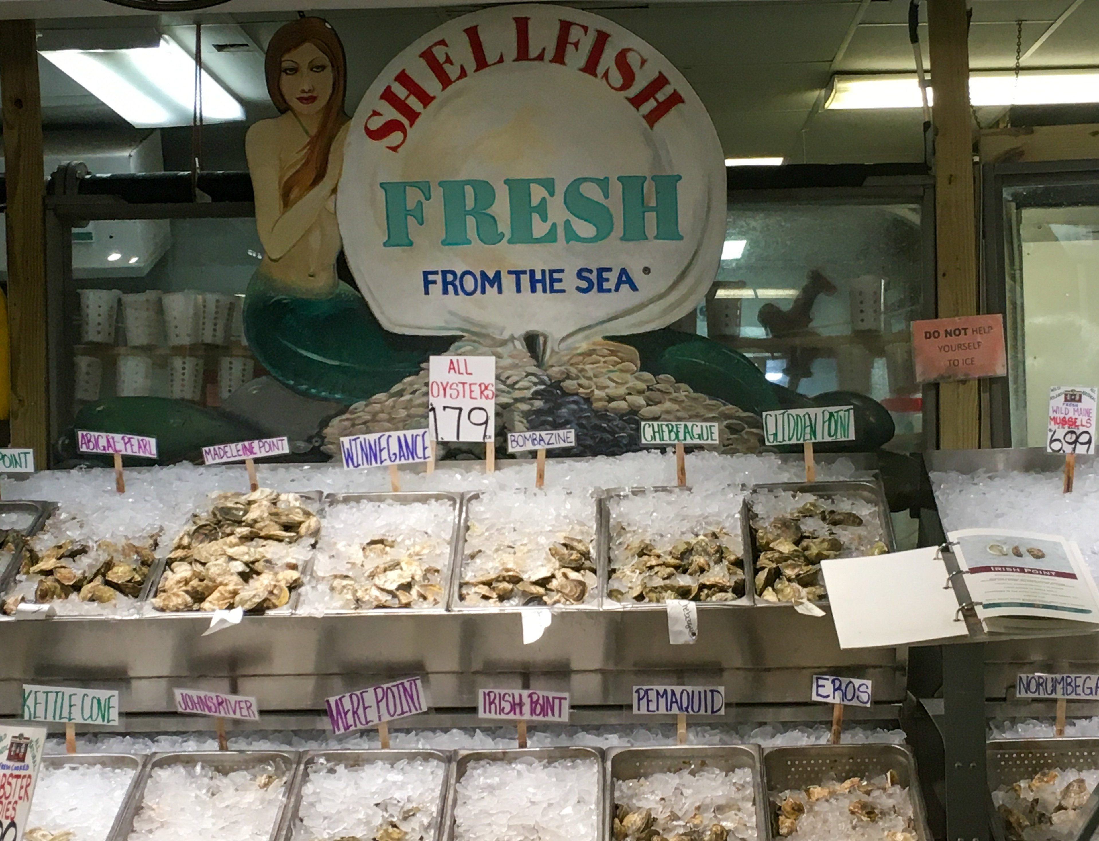 Fresh shellfish sign with many buckets of oysters underneath