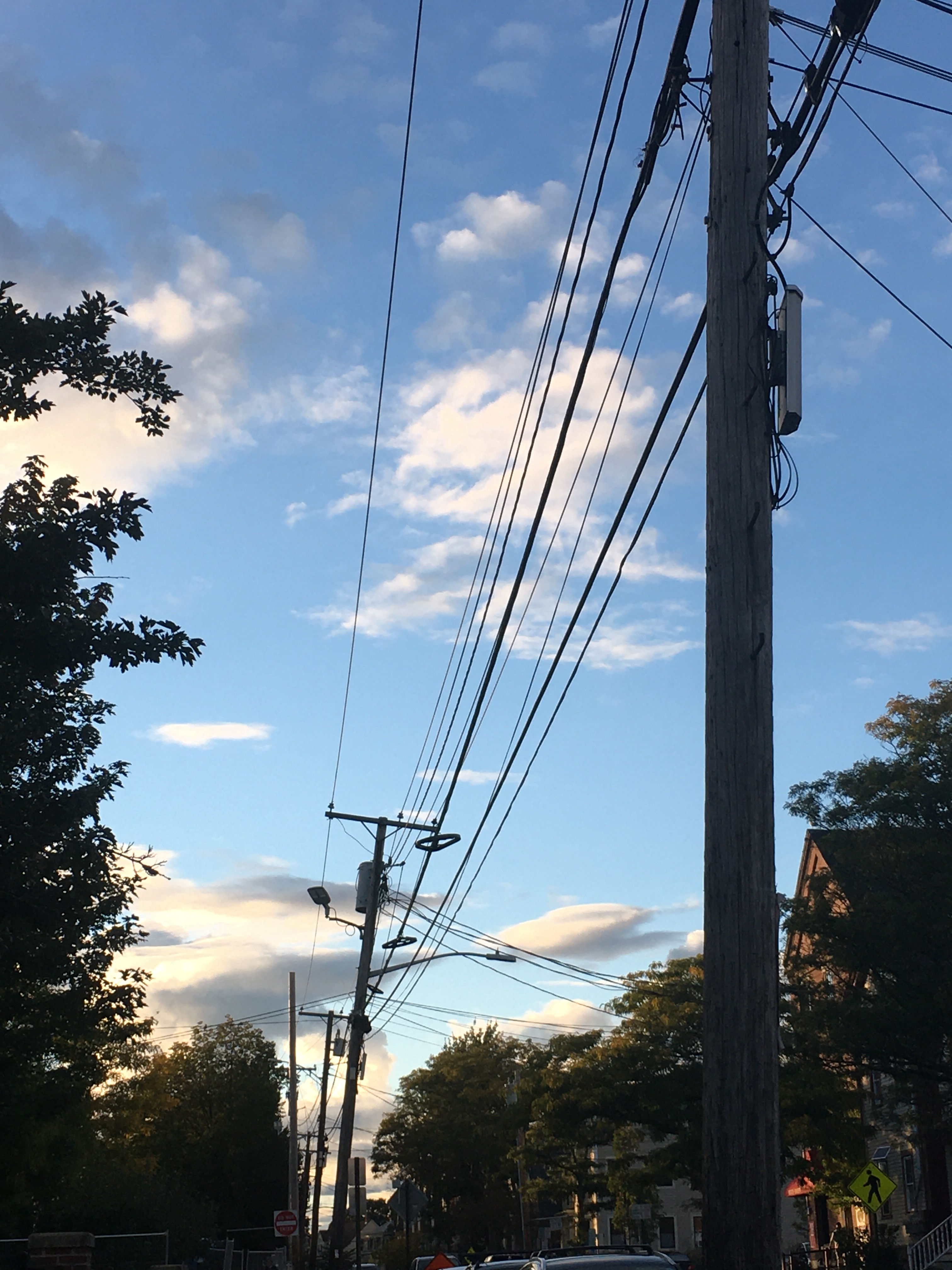 sky and electrical wires showing perspective with trees at the edge