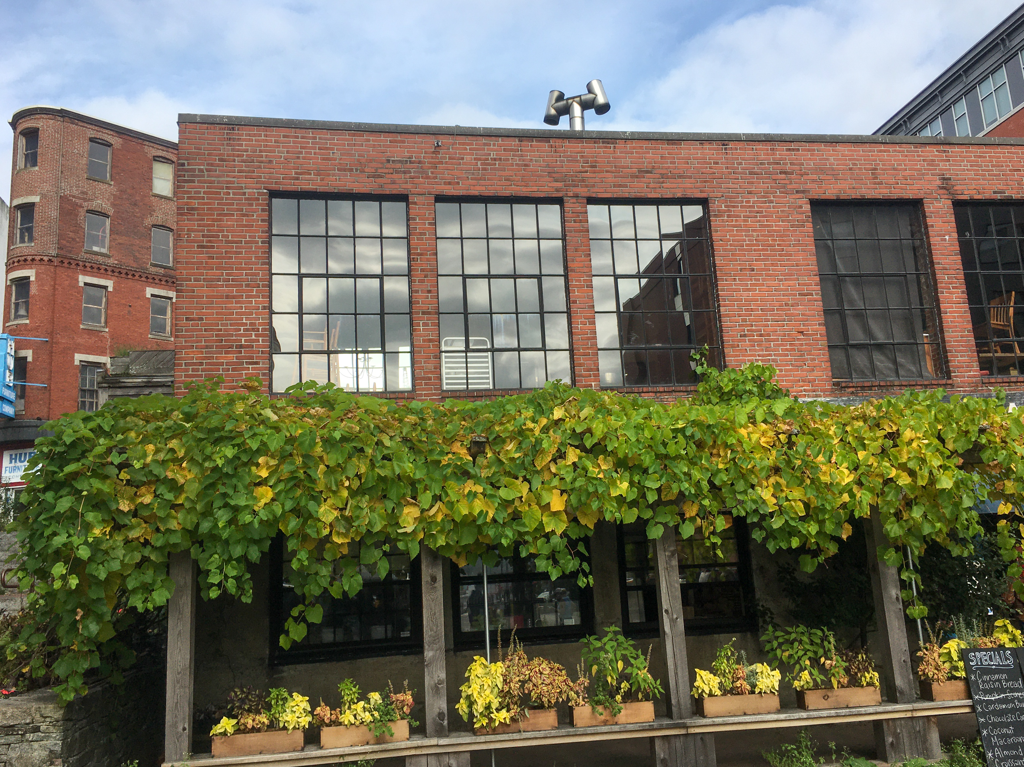front of a brick building with large windows and fines growing over a trellis