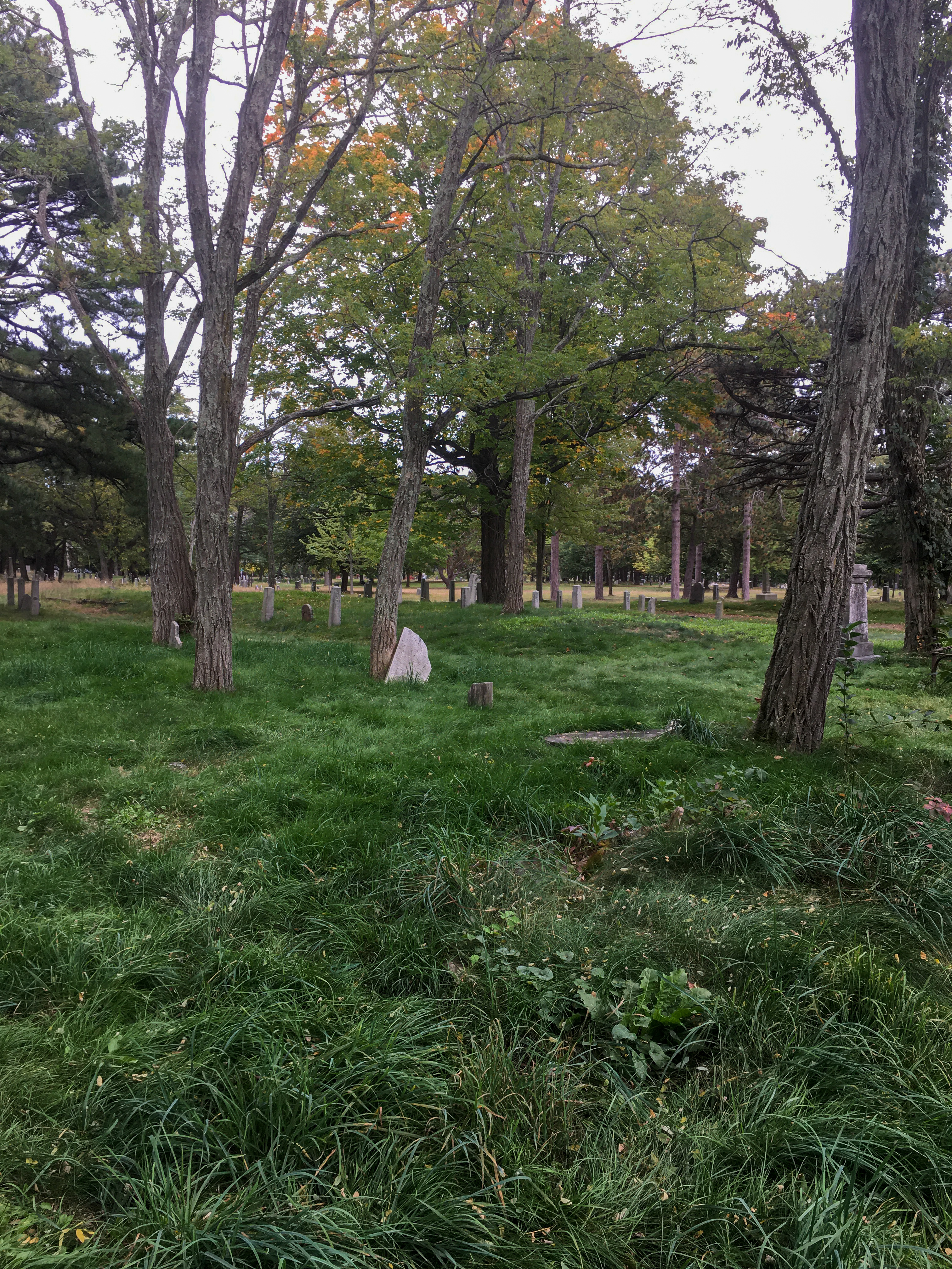graveyard