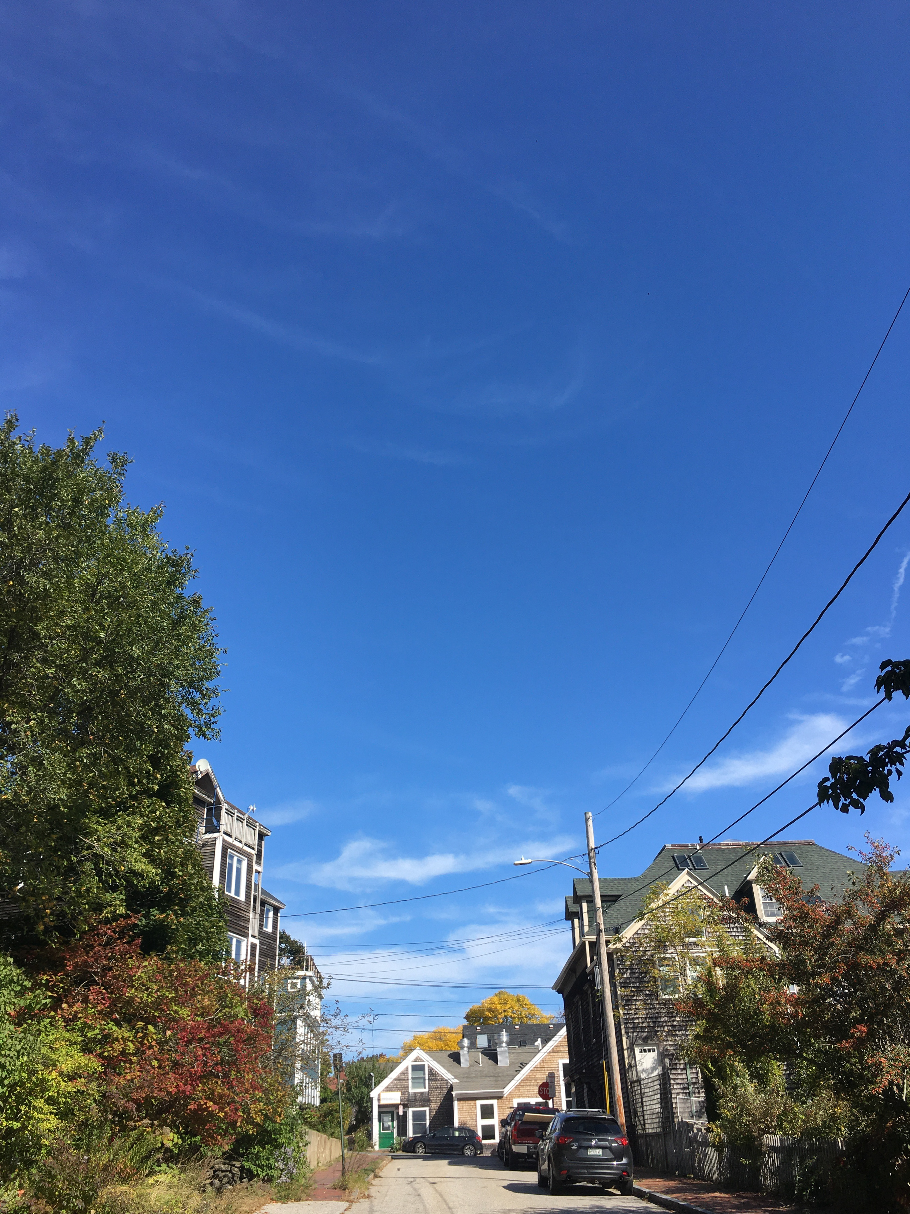 blue skies on a small street with homes