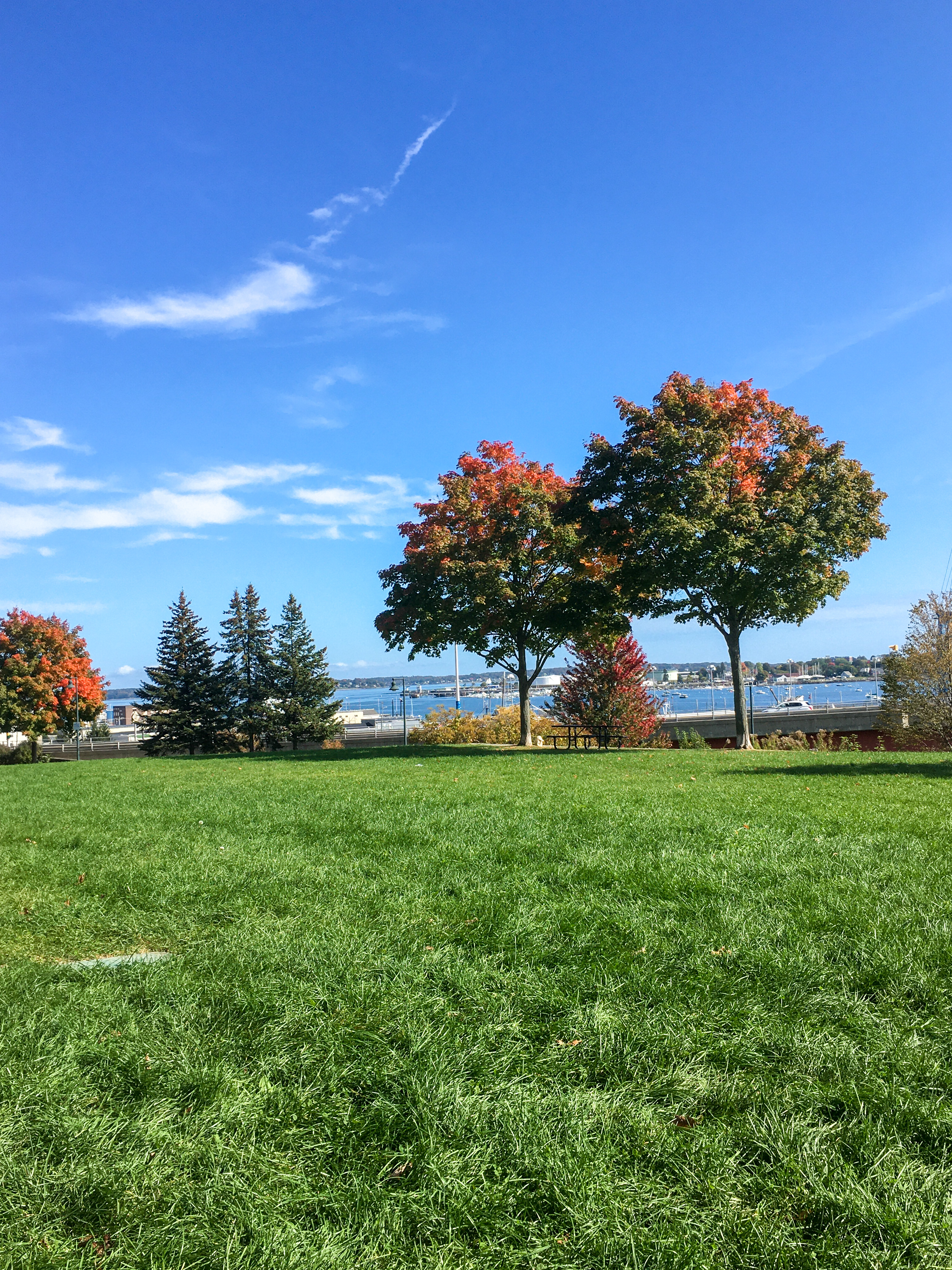 park with foliage turning
