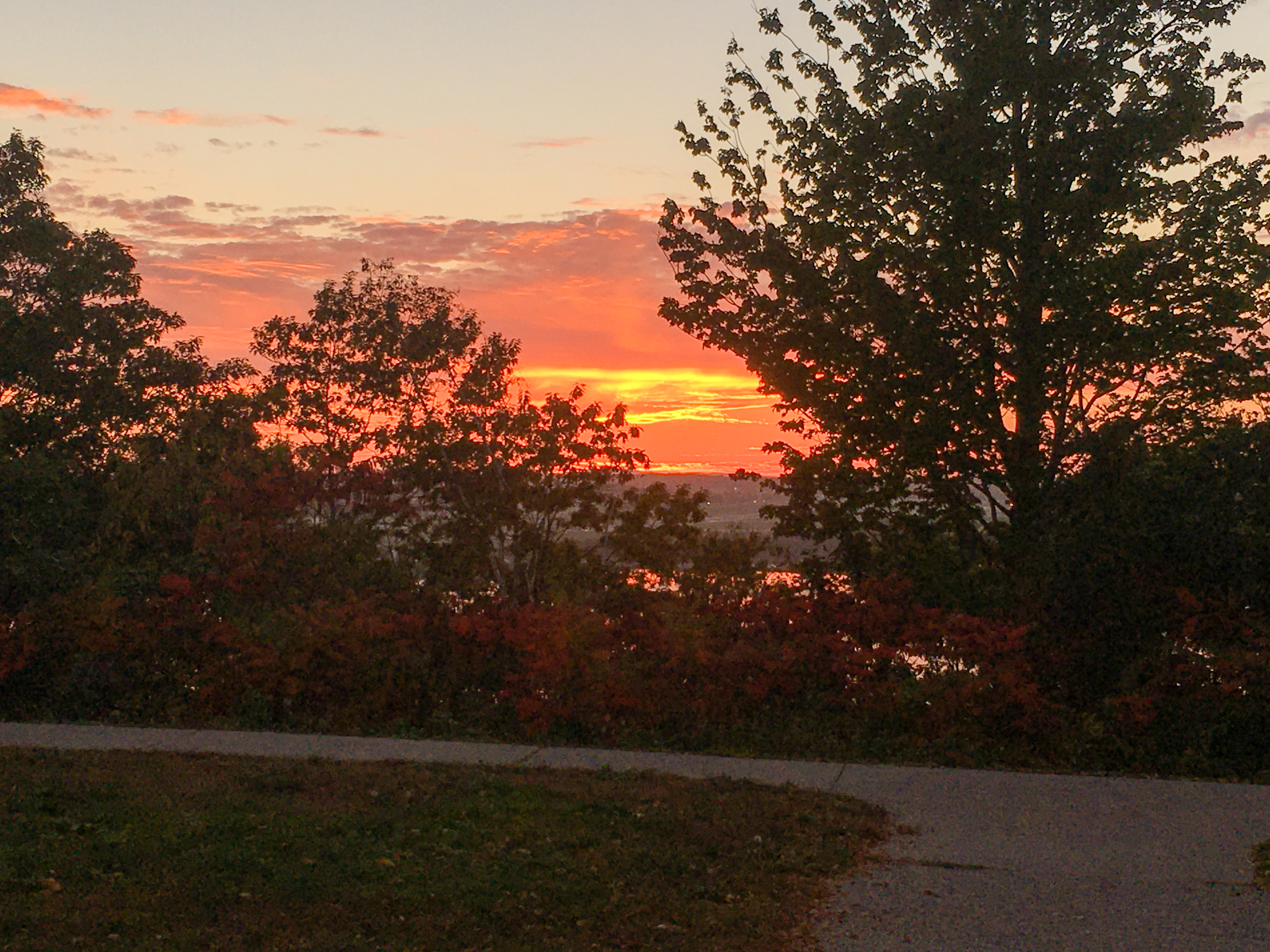 sunset