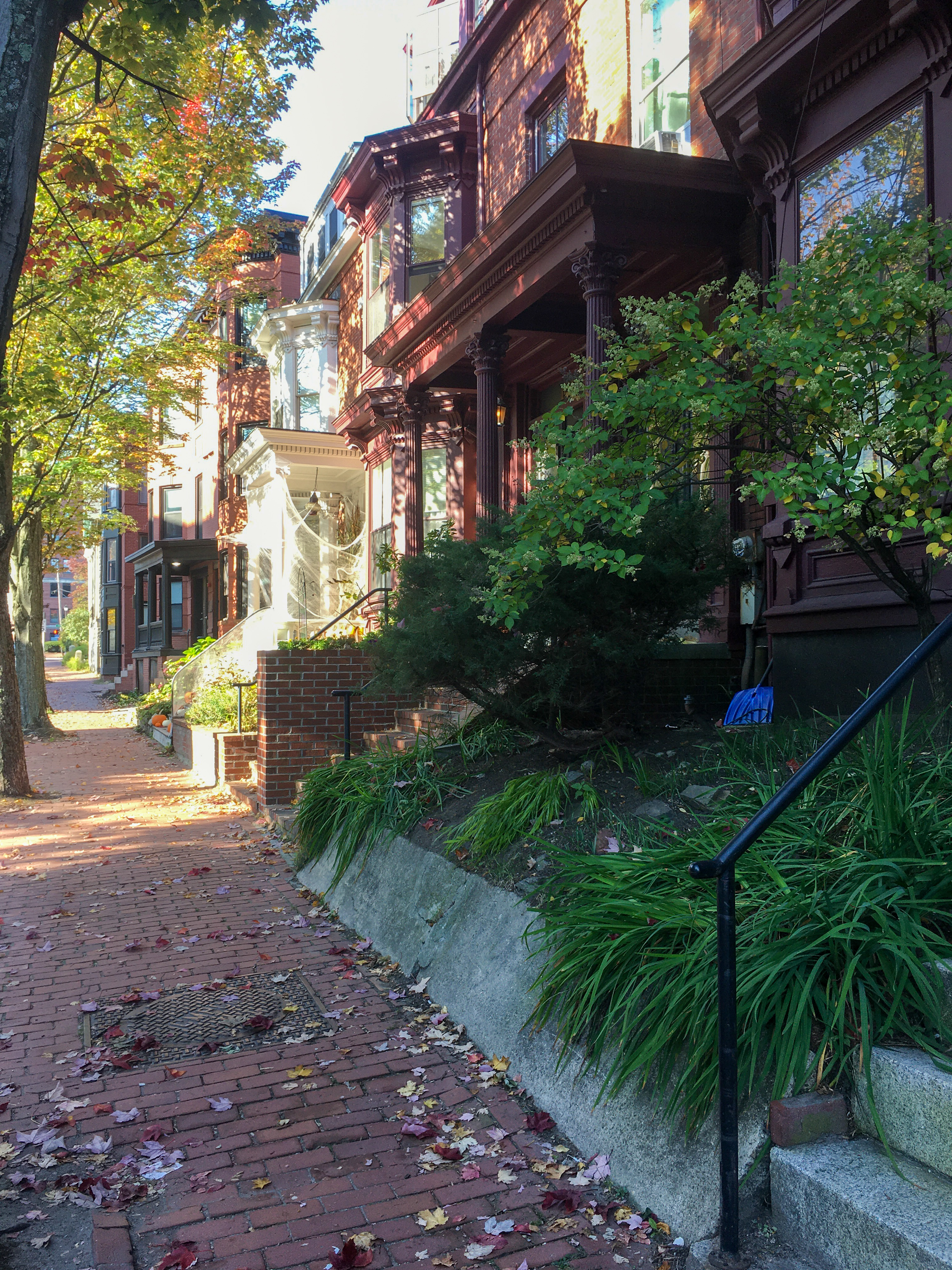 neighborhood brick sidewalks