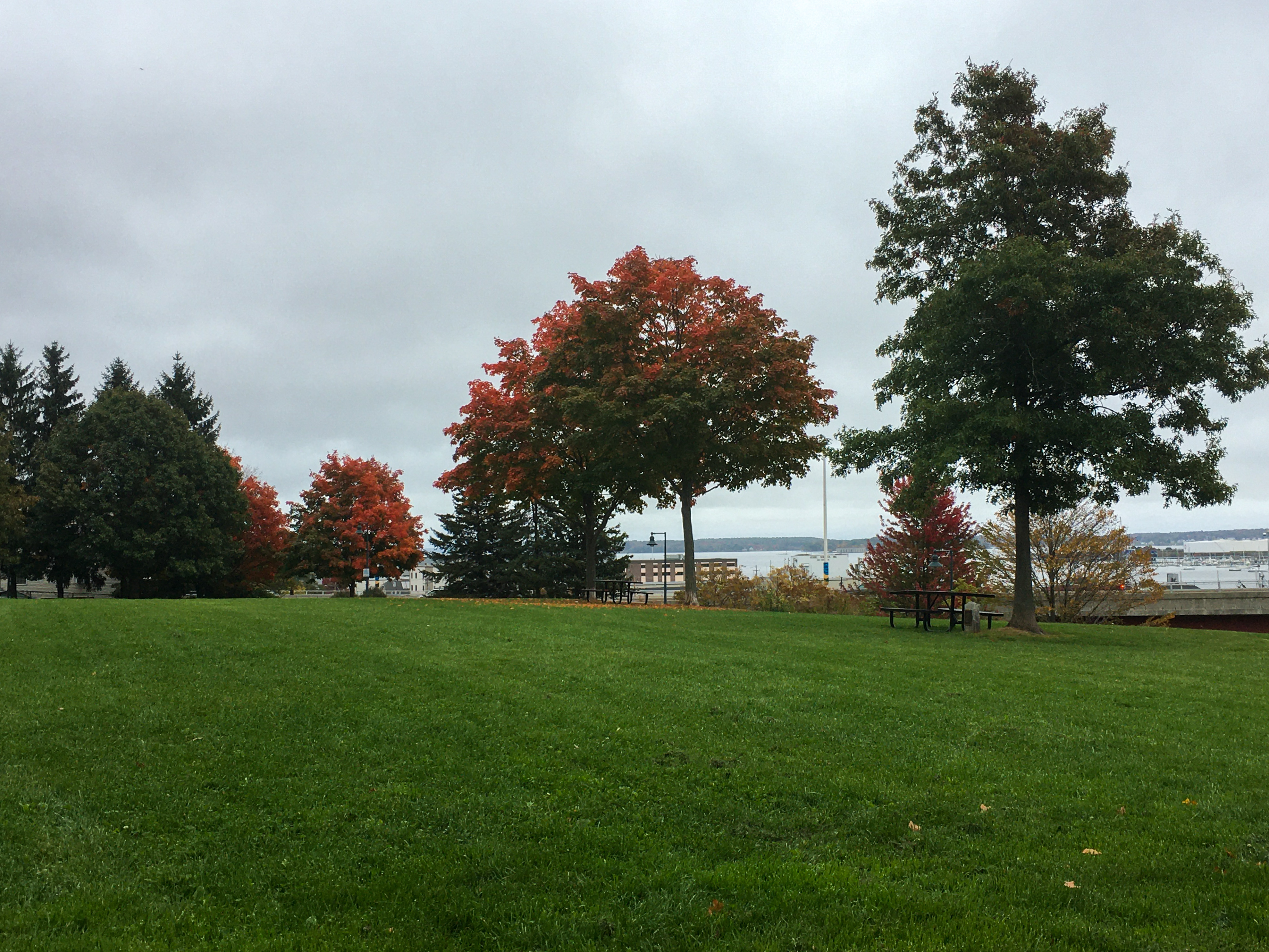 park with orange foliage
