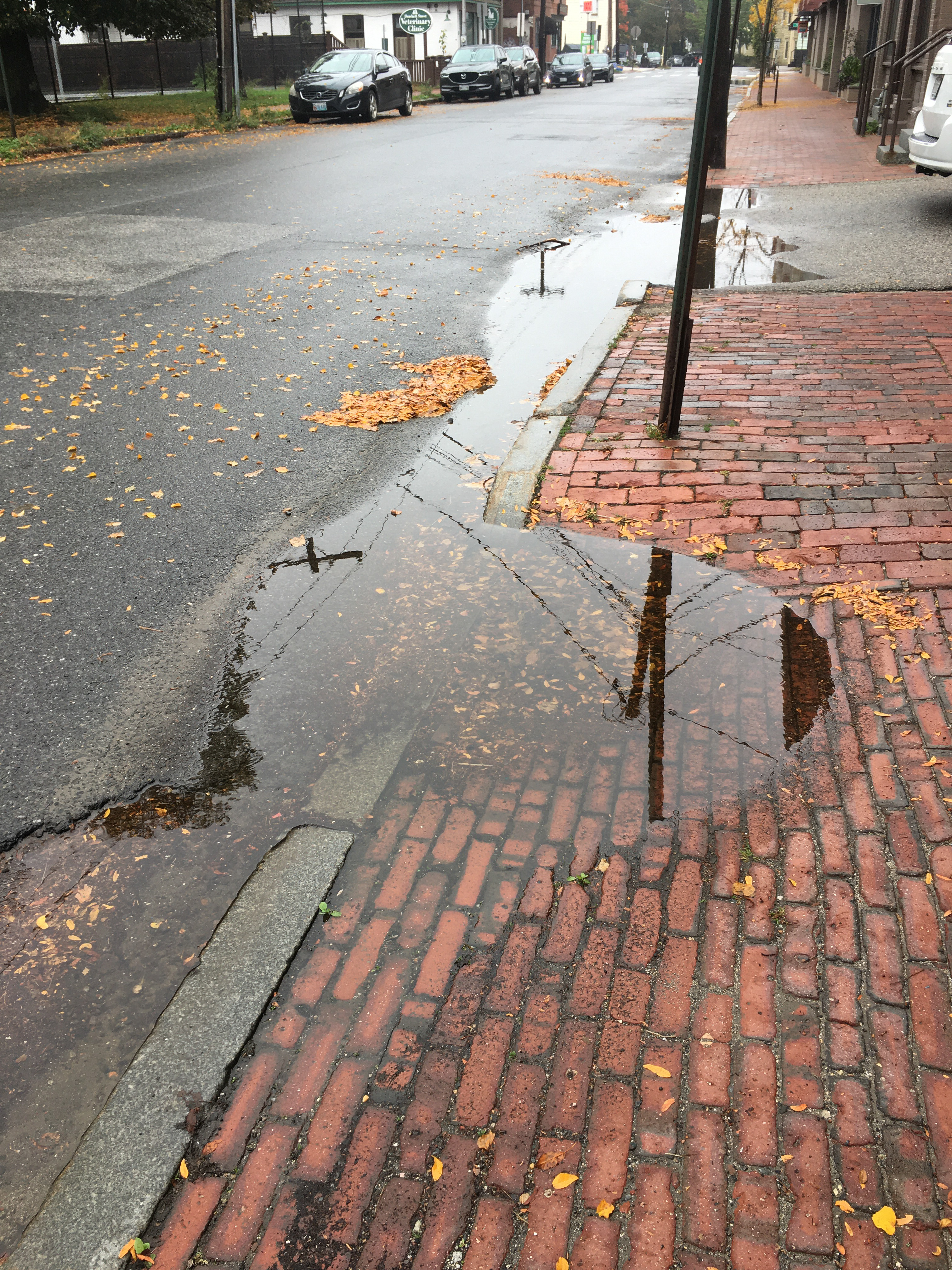 wet brick sidewalk with puddles