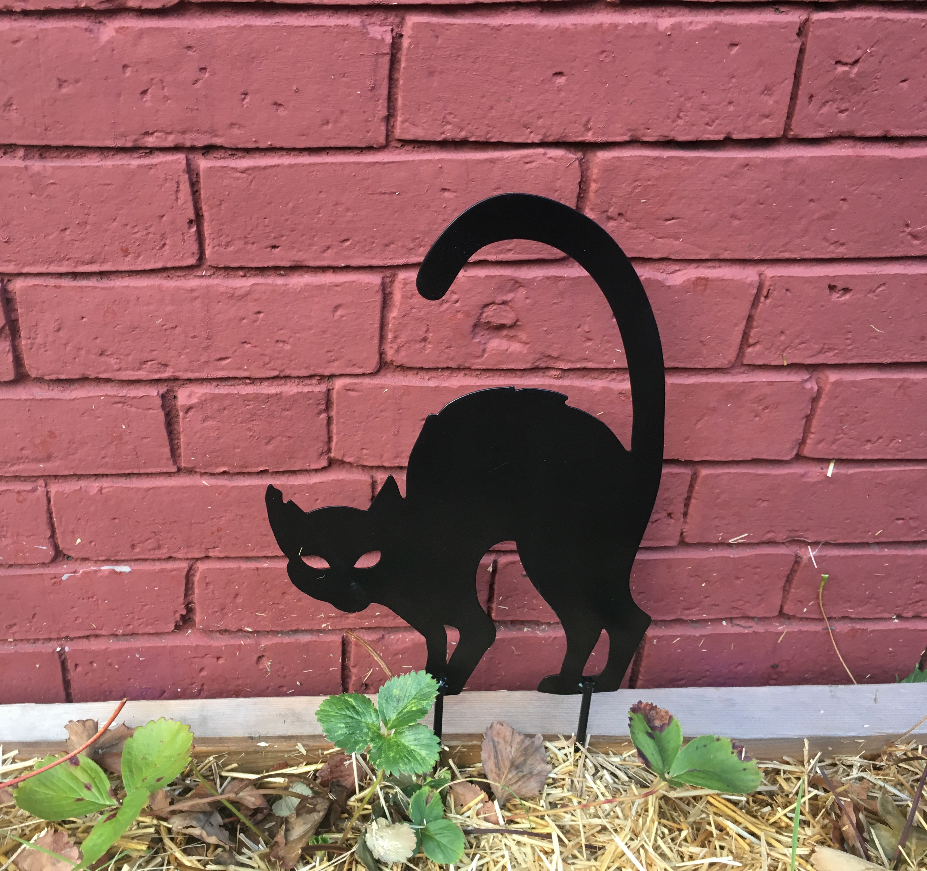 black cat decoration for halloween